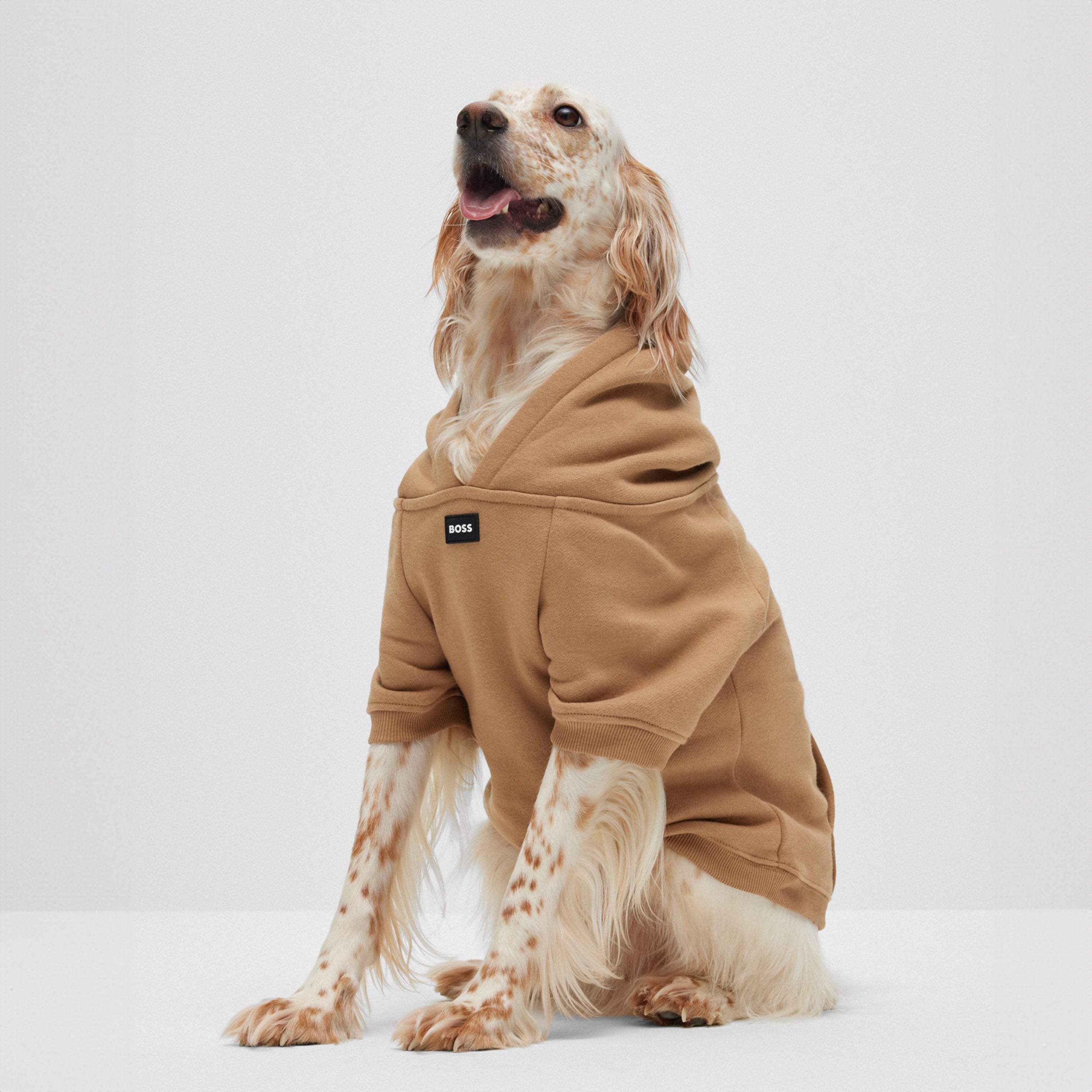 BOSS Logo Hoodie