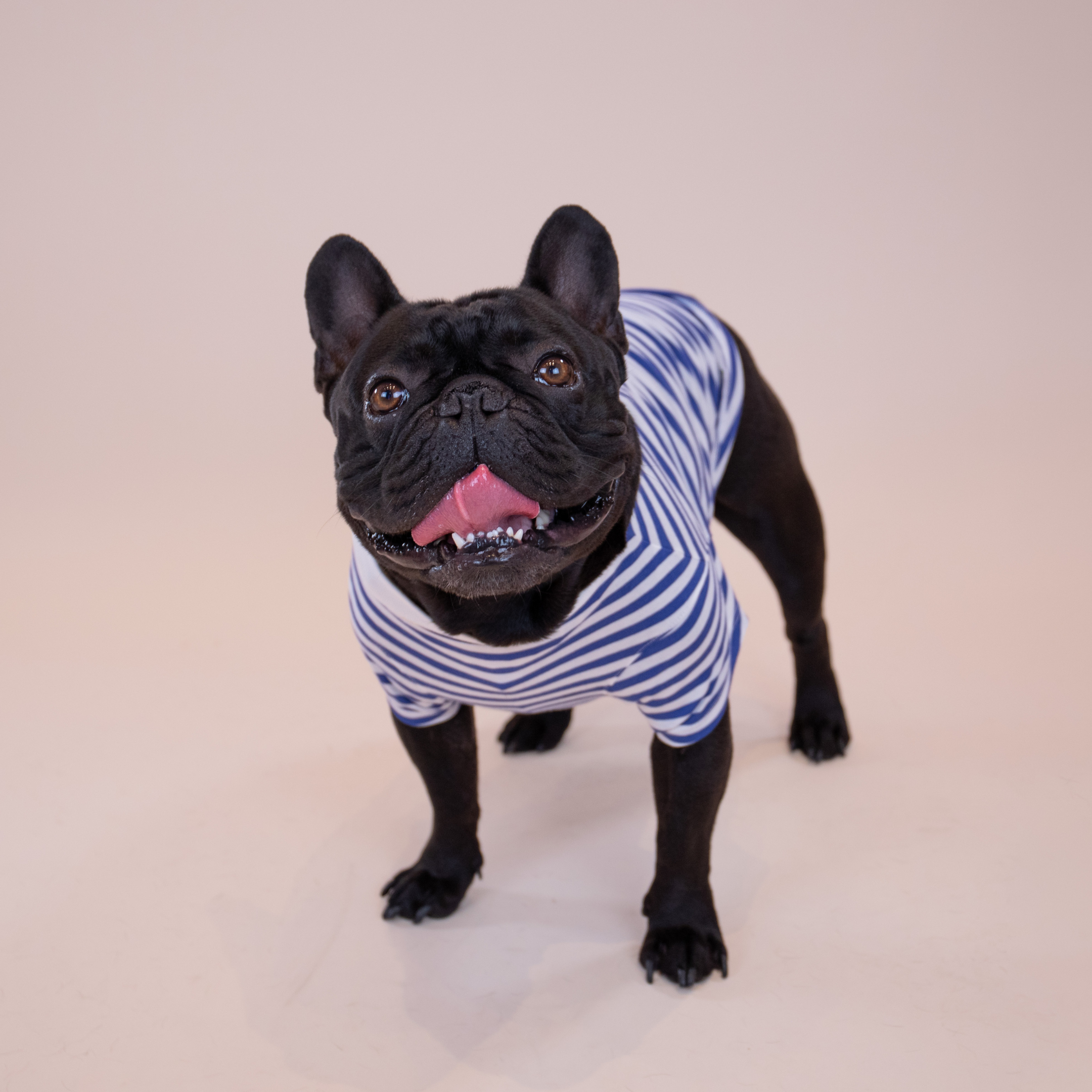 Ralph Lauren Polo Pony T-Shirt