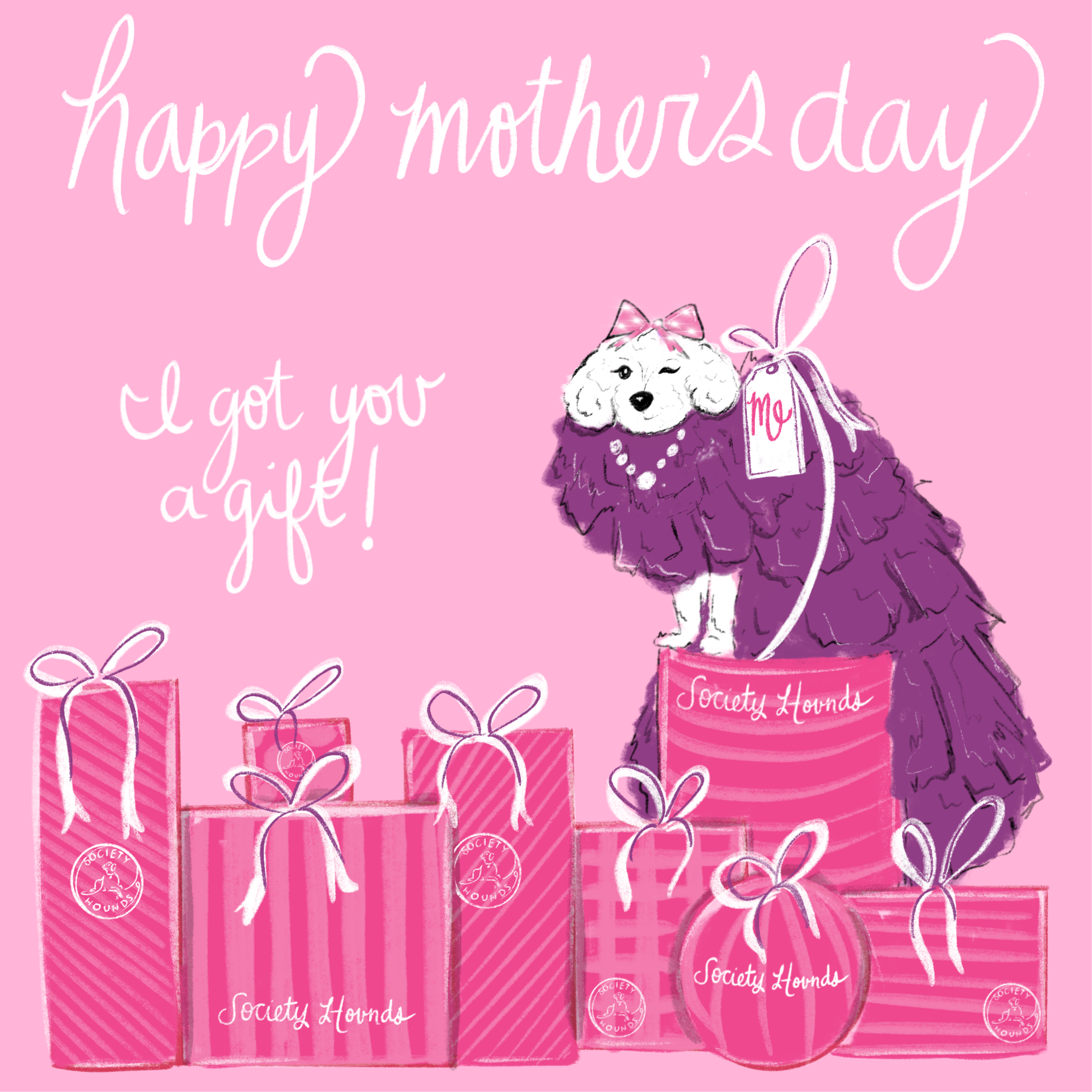 I Got You A Mother's Day Gift Greeting Card