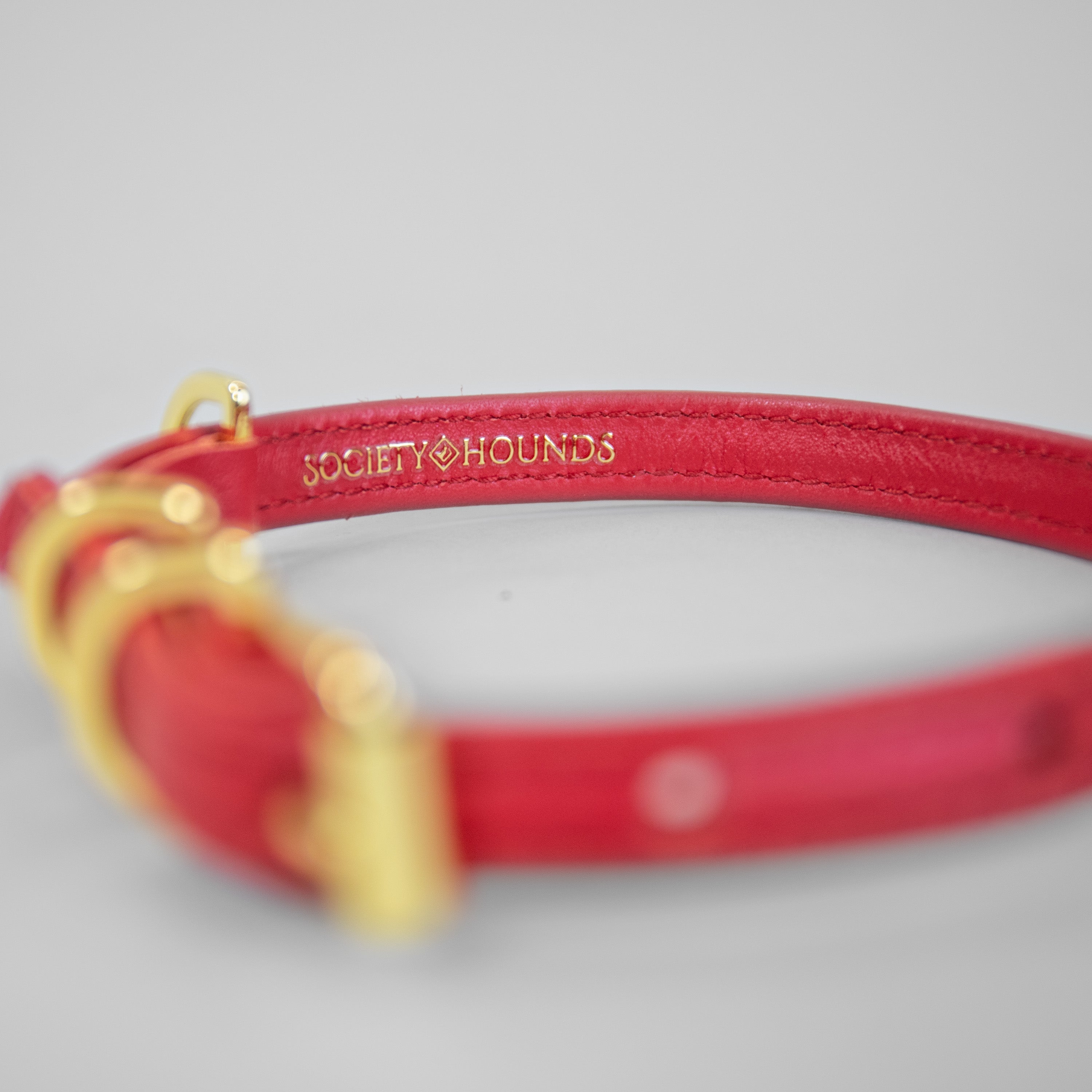 The Original Collar