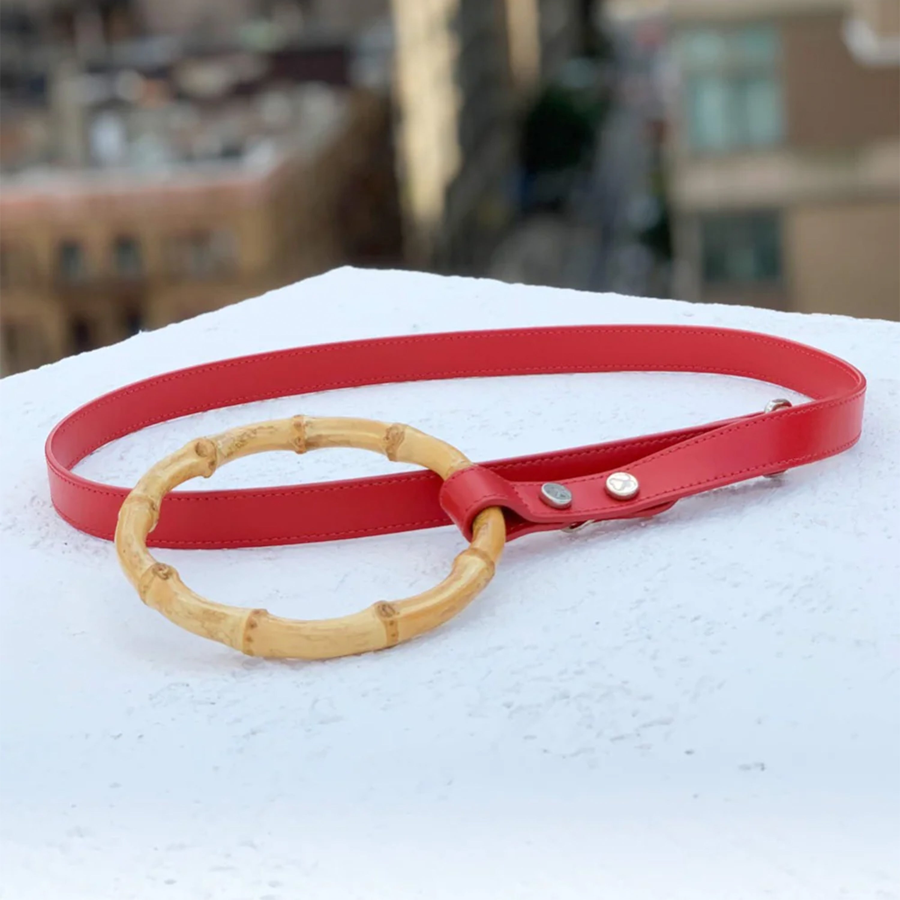 Idyllic Italian Leash