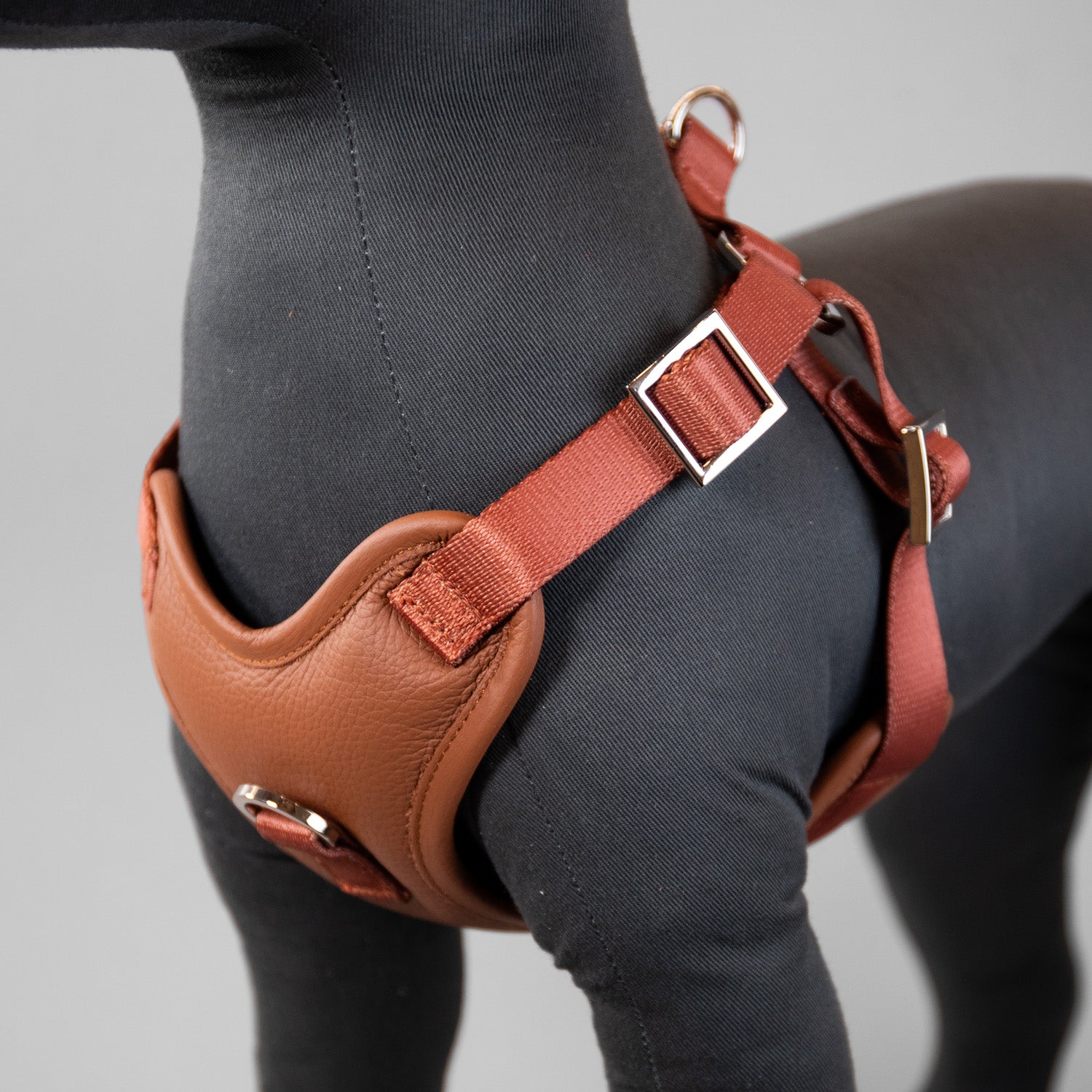 The Original Harness