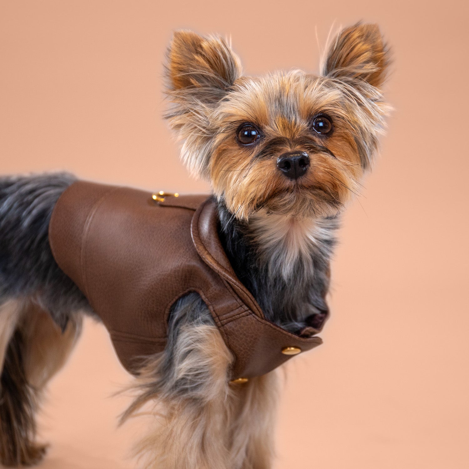 Woodland Faux Leather Jacket