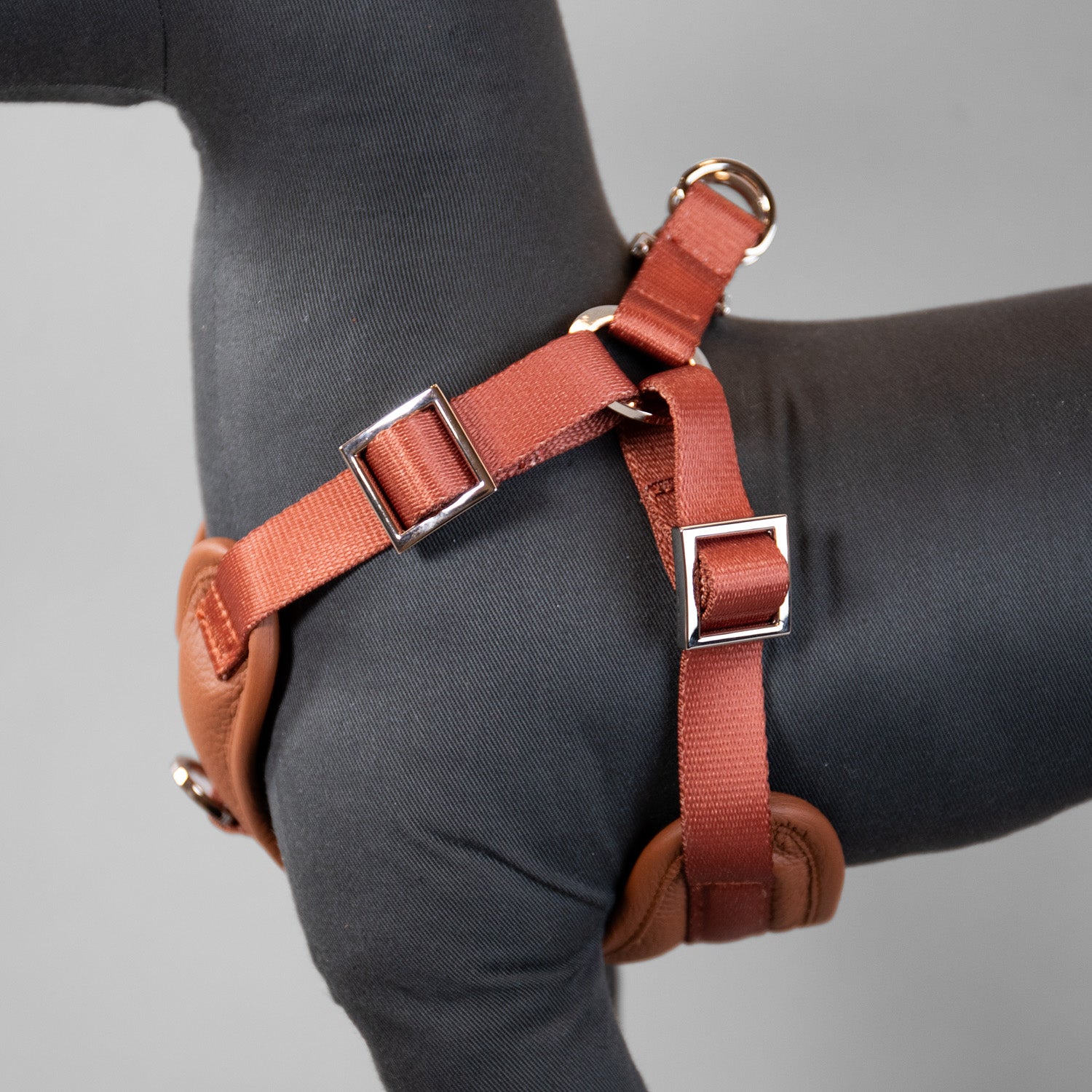 The Original Harness