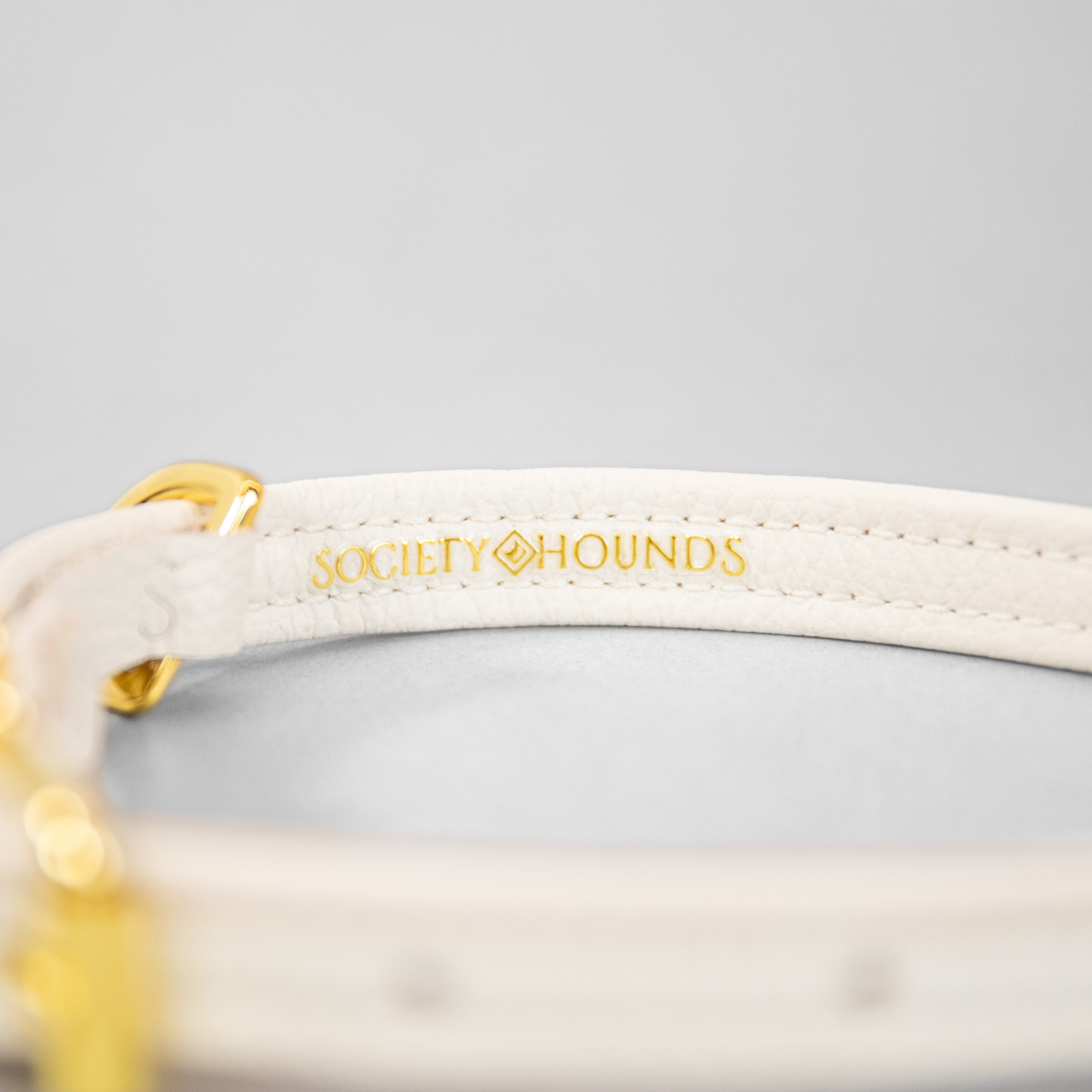 The Original Collar