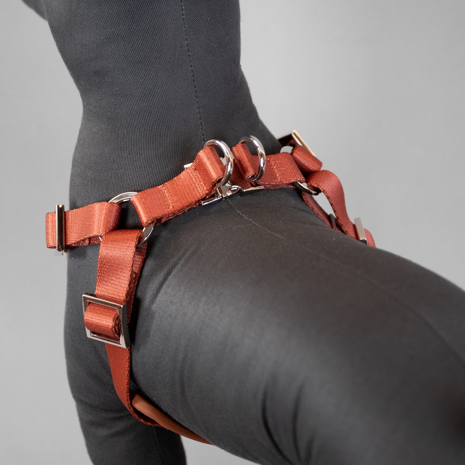 The Original Harness