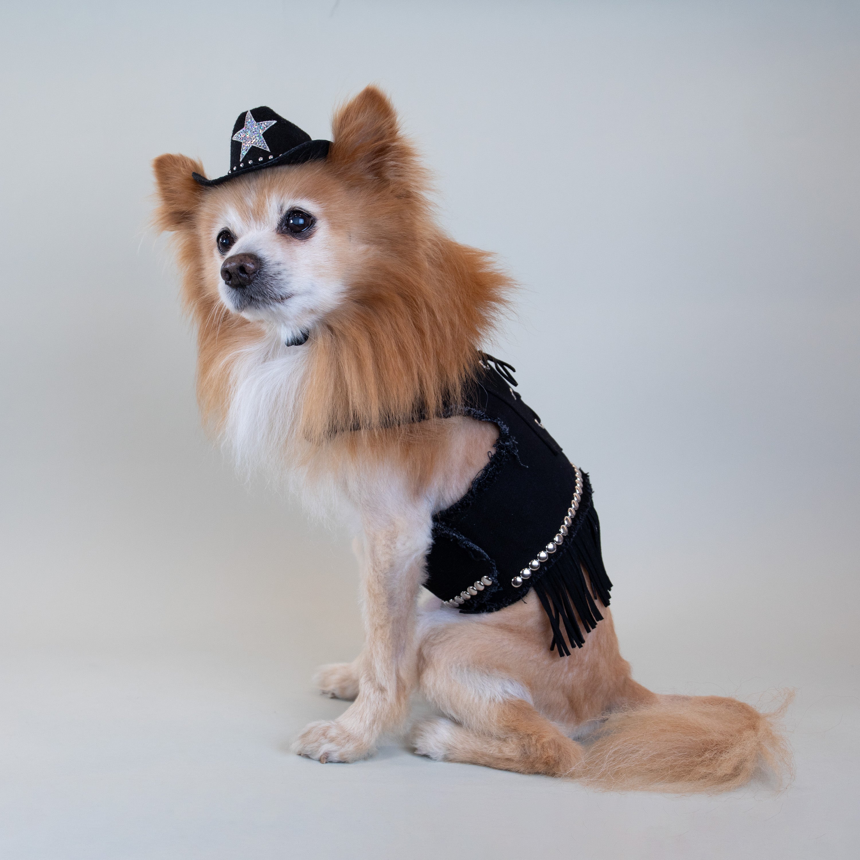 Wild West Harness