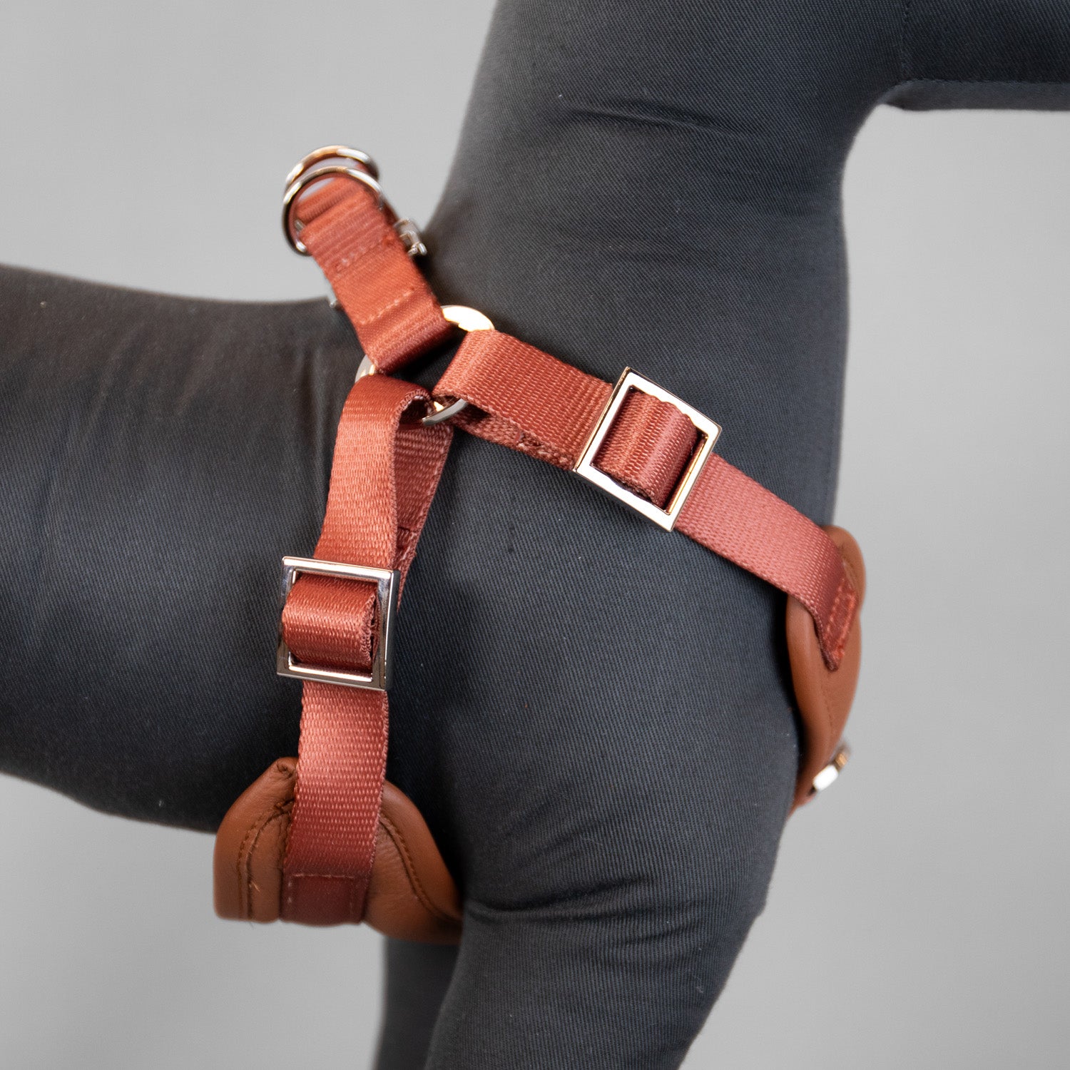 The Original Harness
