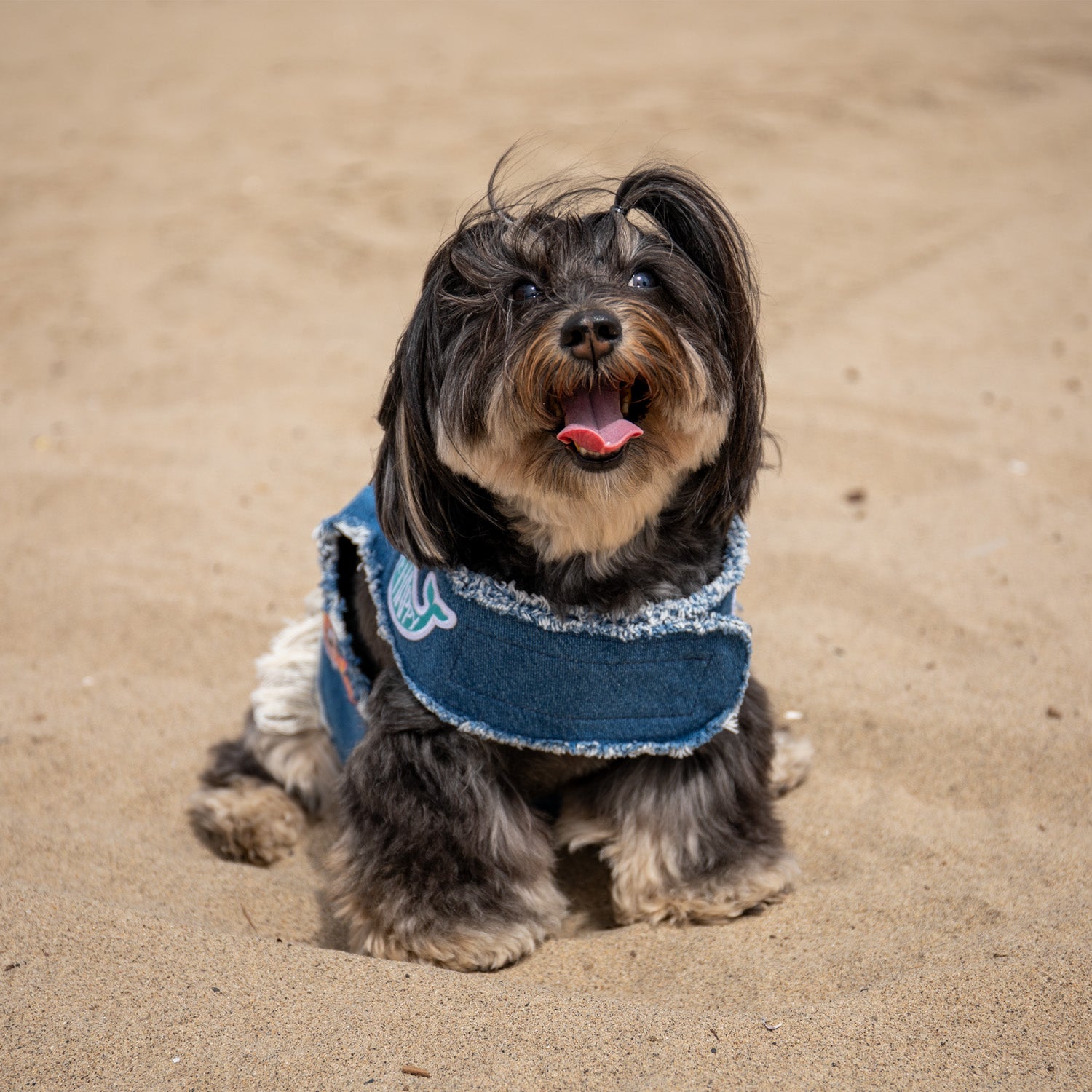 Malibu Dreamin' Denim Harness