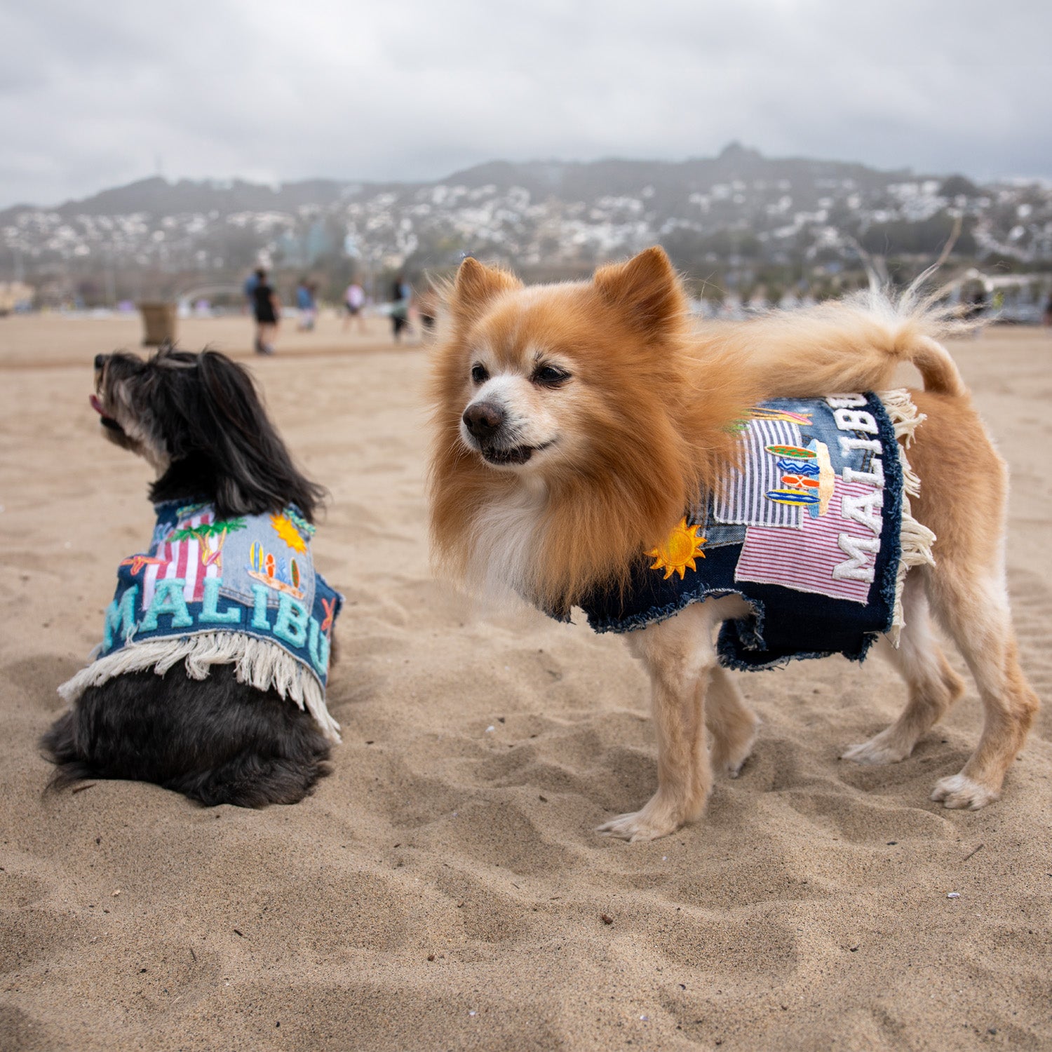 Malibu Dreamin' Denim Harness