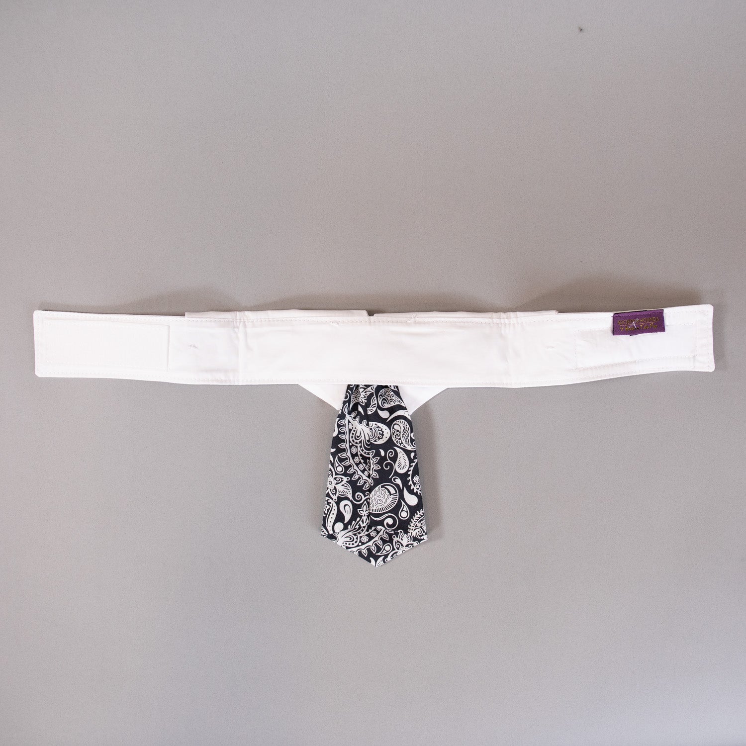 Paisley Tie