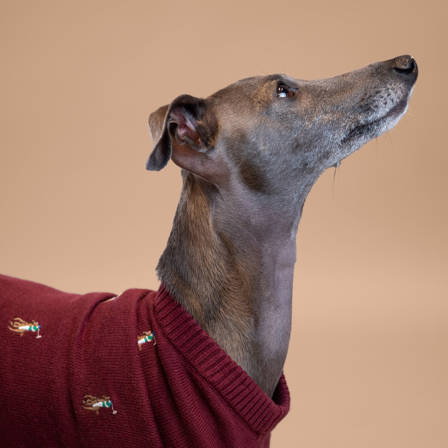 Ralph Lauren Logo Sweater