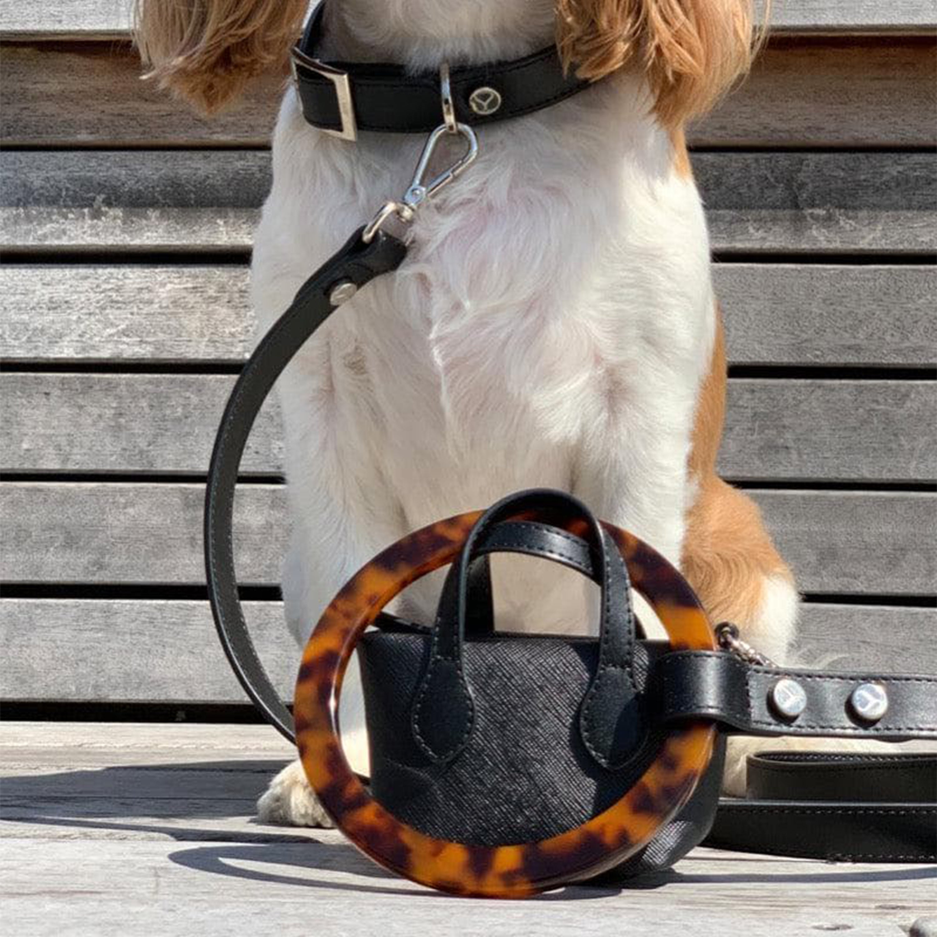 Idyllic Italian Leash