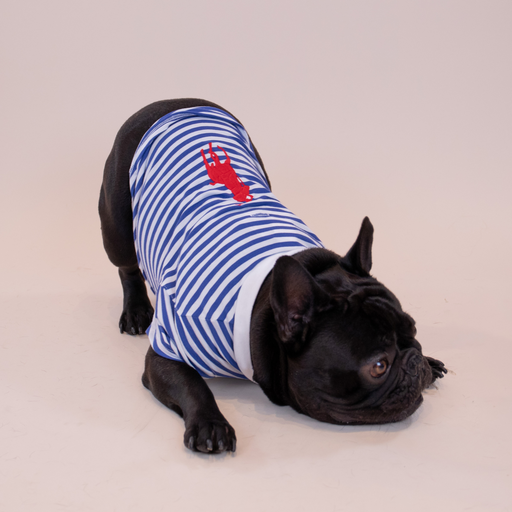 Ralph Lauren Polo Pony T-Shirt