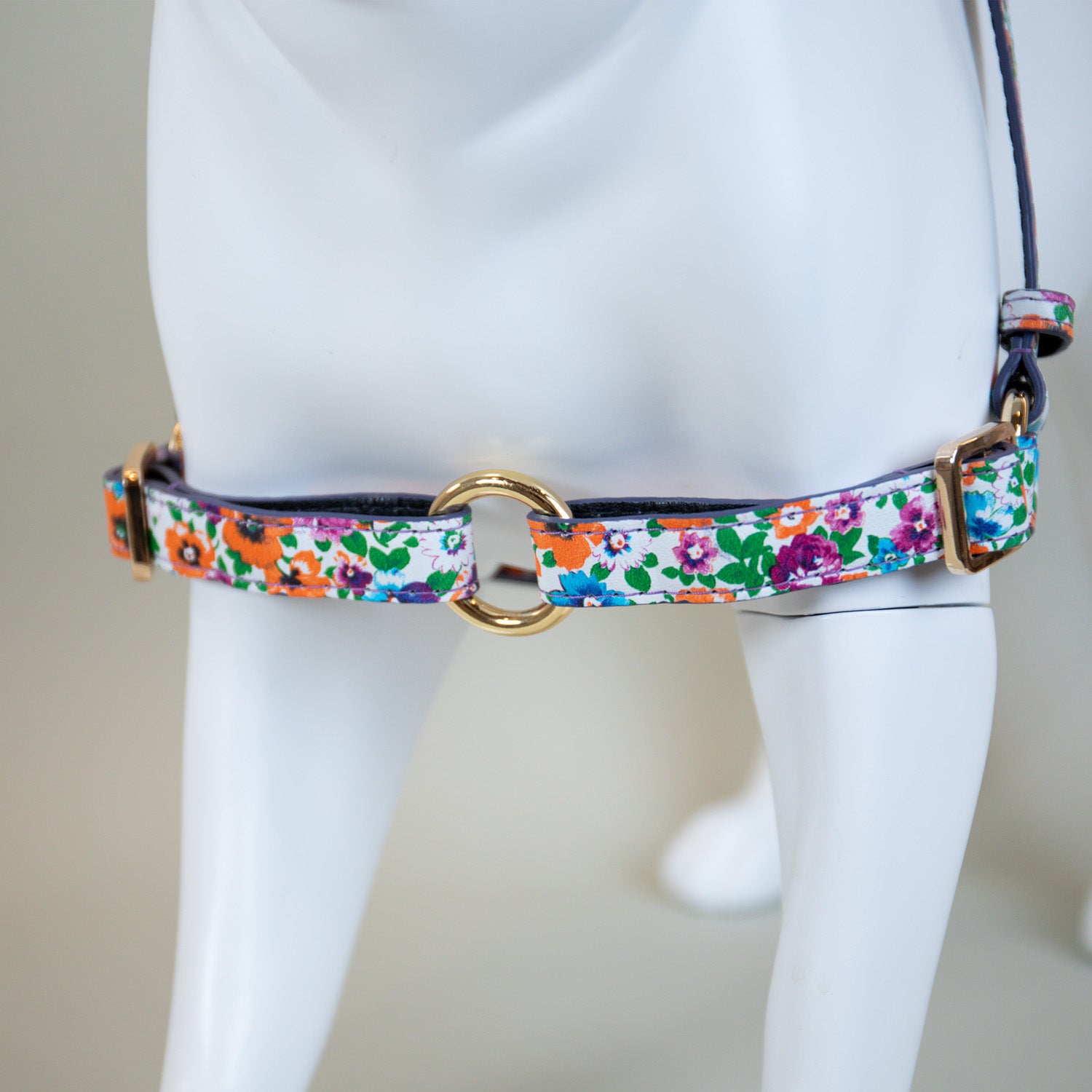 Playful Poppy Harness