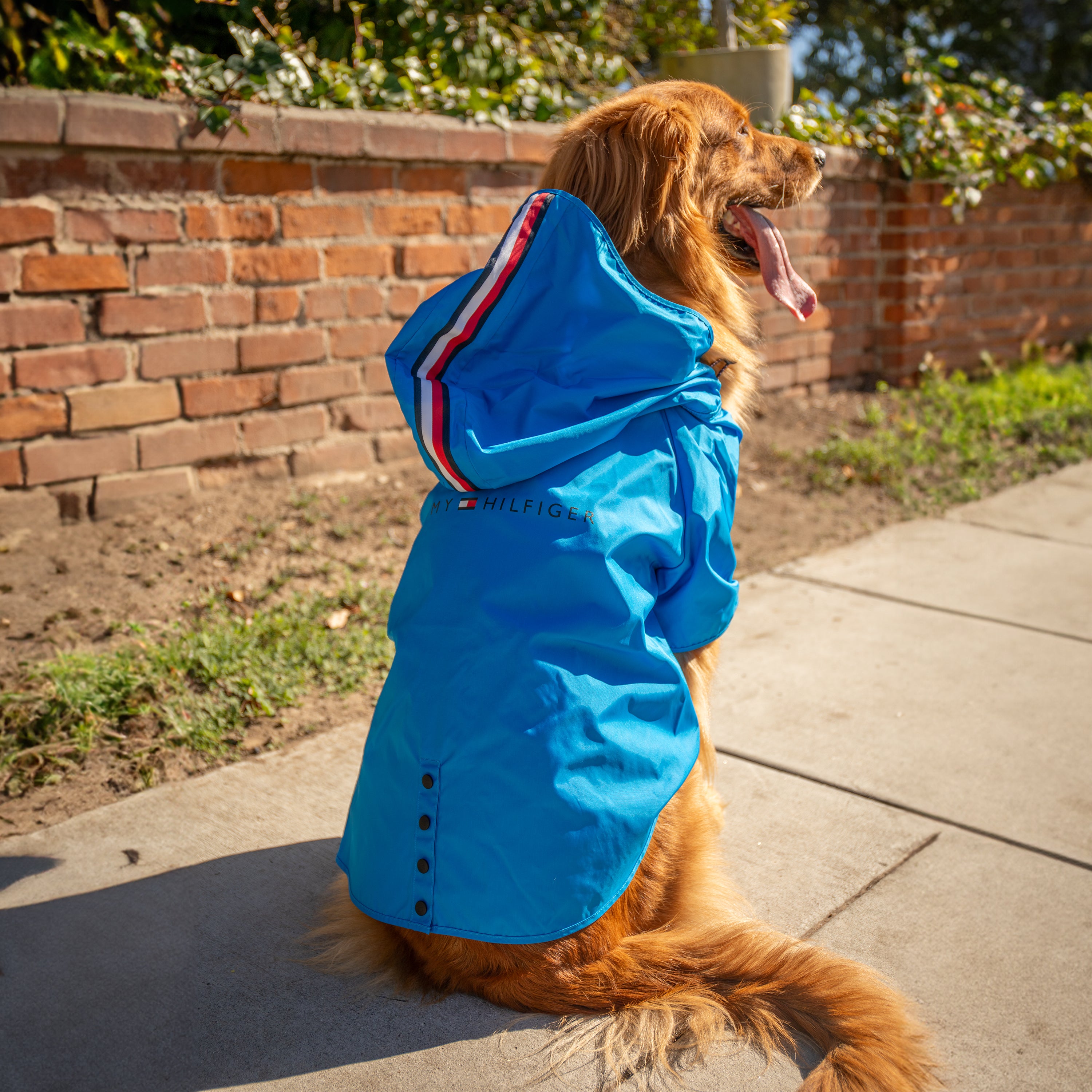 Tommy Hilfiger Raincoat