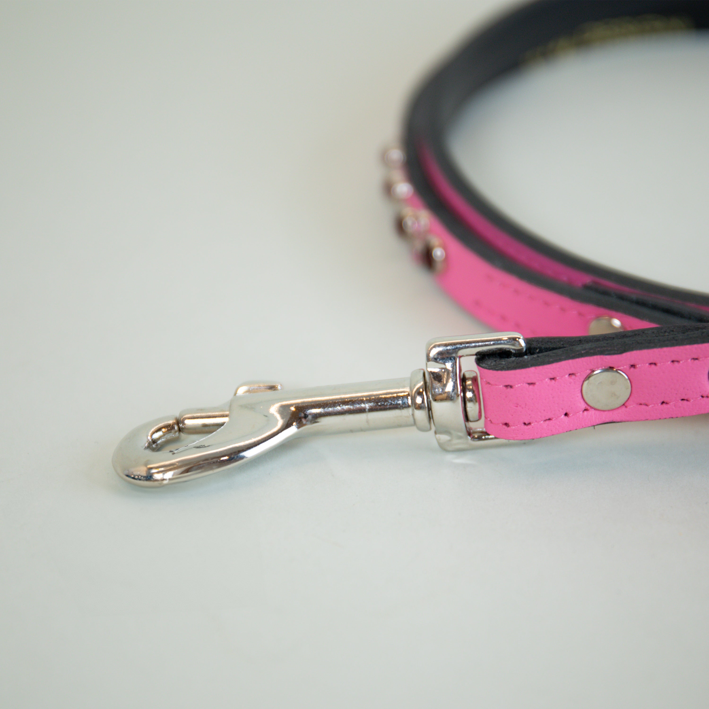 Burning Magnolia Leash