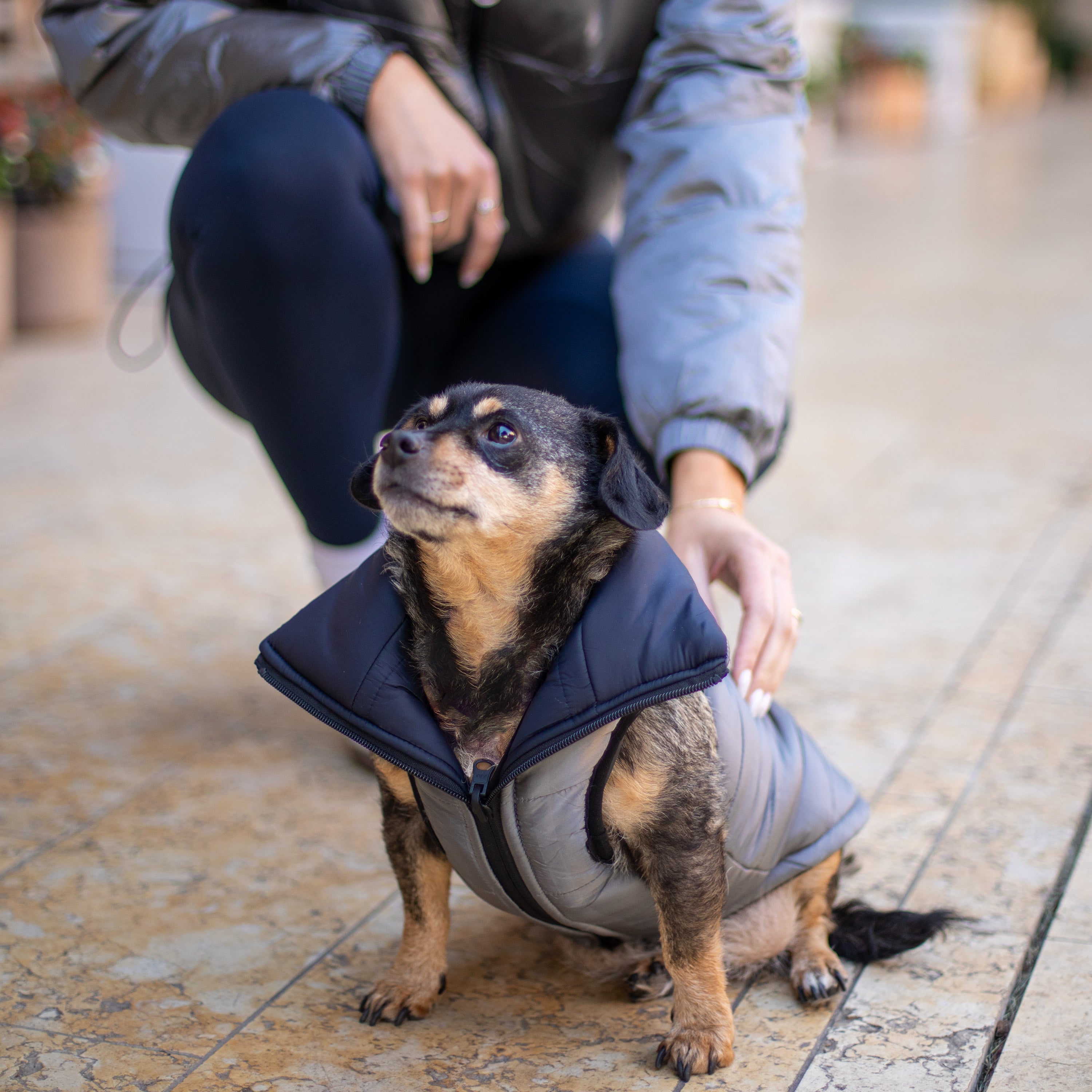 Janari Reversible Dog Puffer Vest