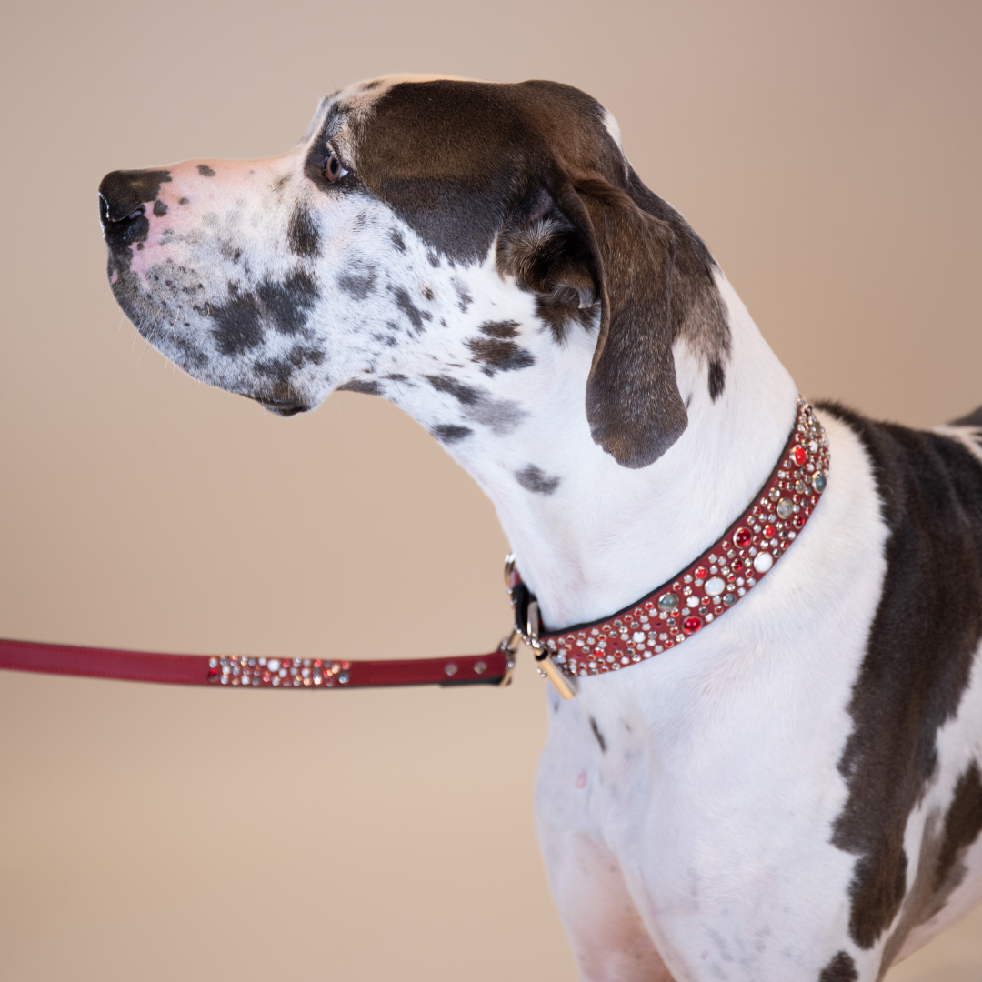 Wonders of the World Collars