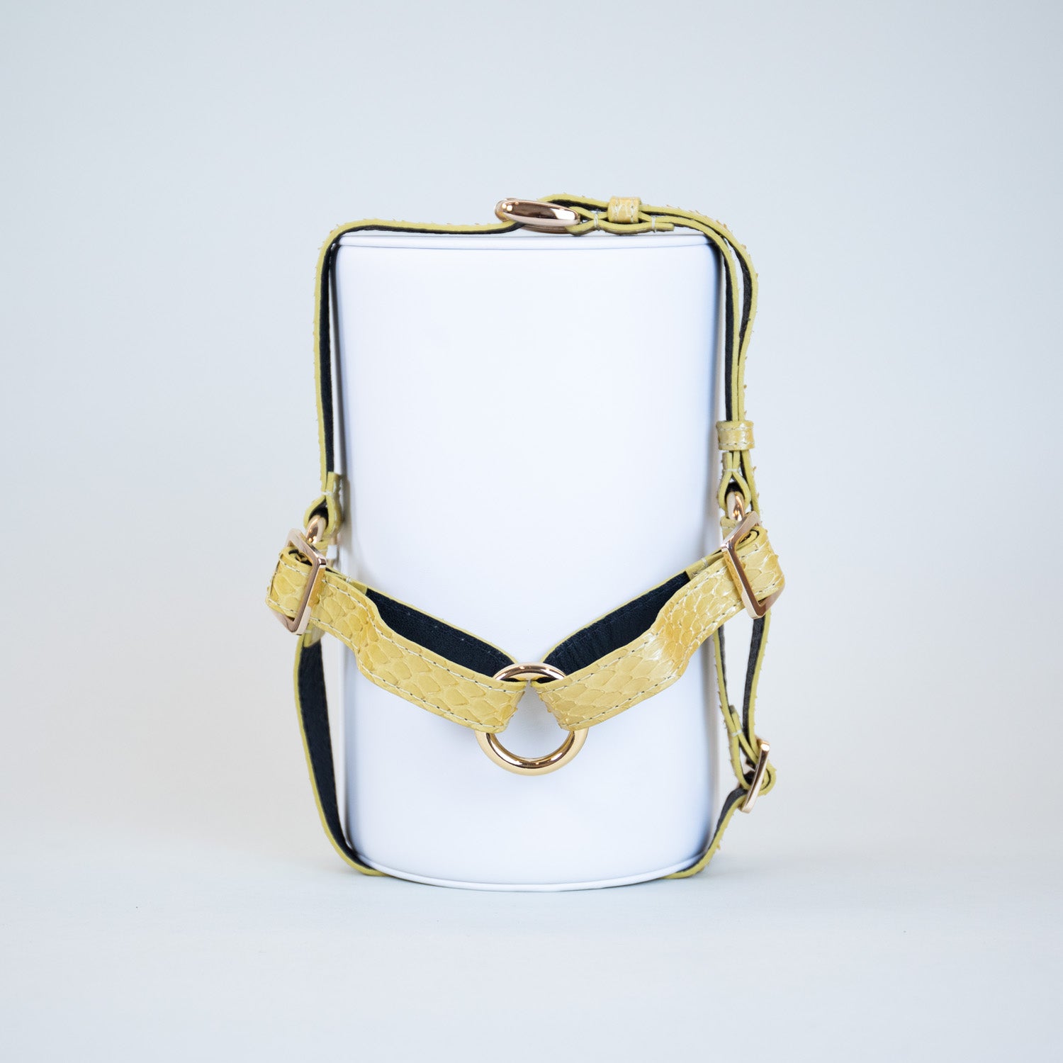 Pearly Dunes Harness
