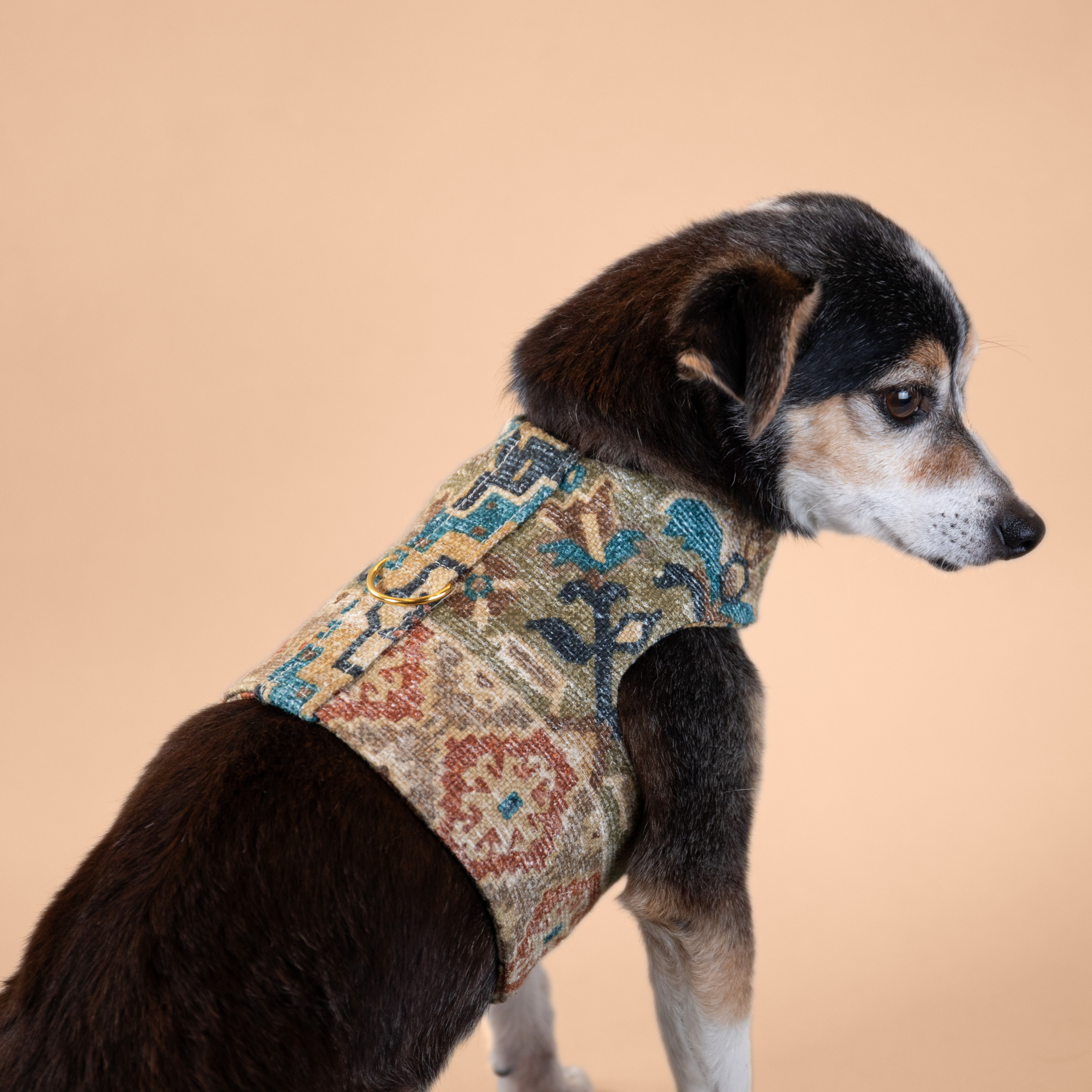 Boho Woven Harness