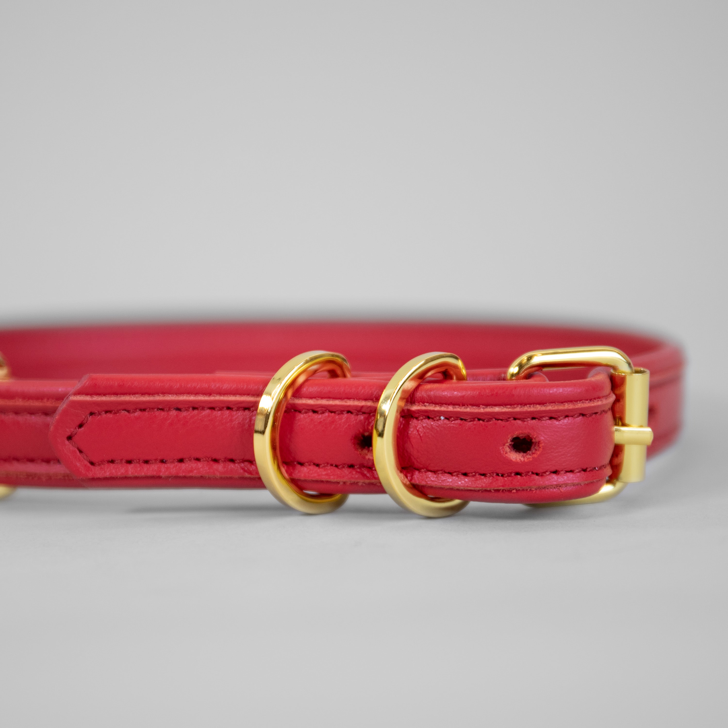The Original Collar