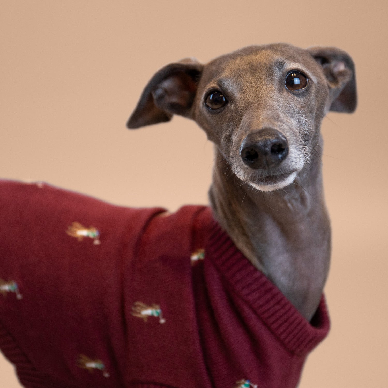 Ralph Lauren Logo Sweater