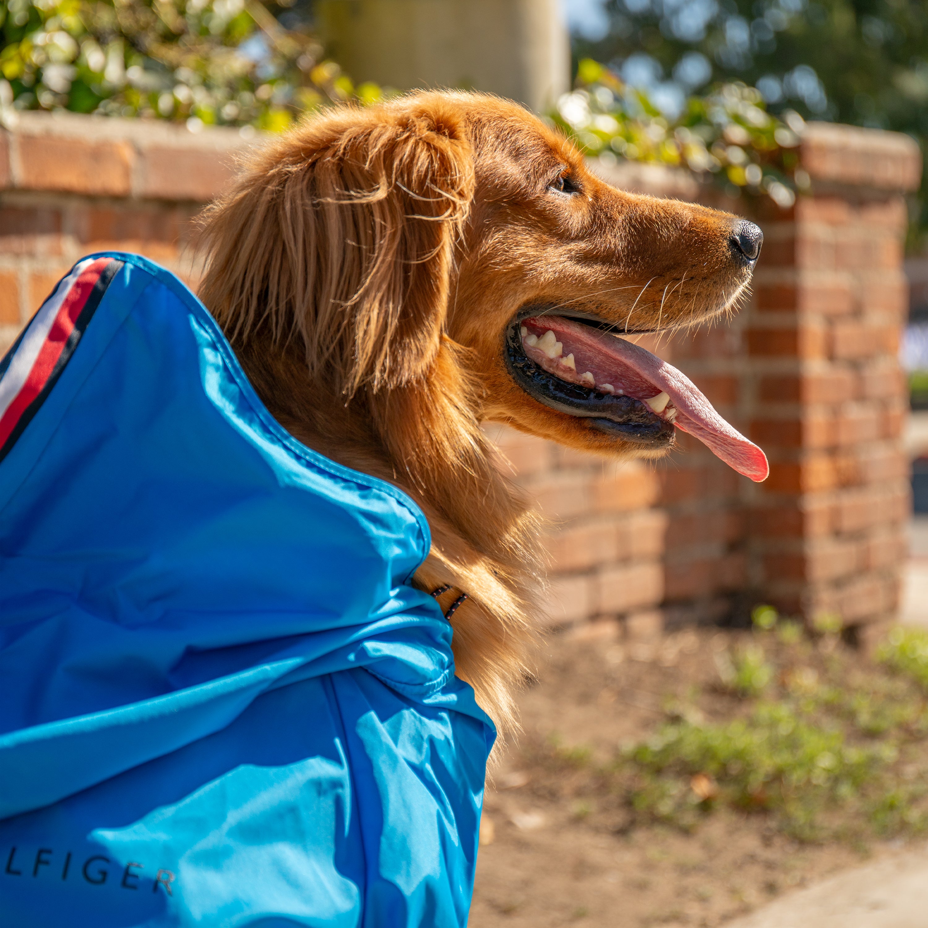 Tommy Hilfiger Raincoat