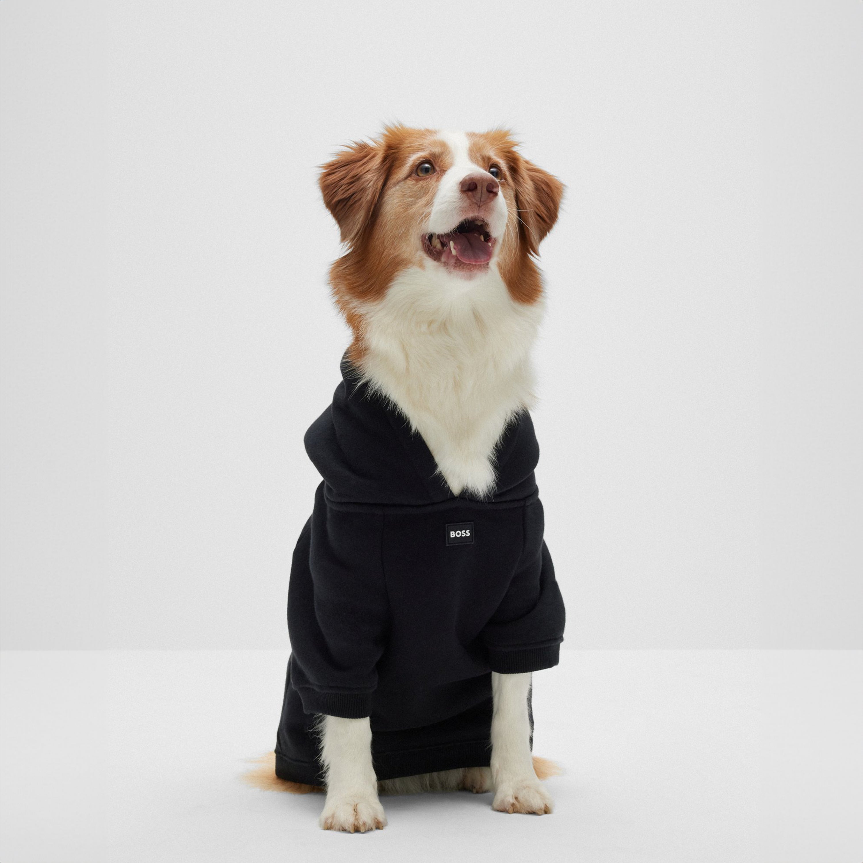 BOSS Logo Hoodie