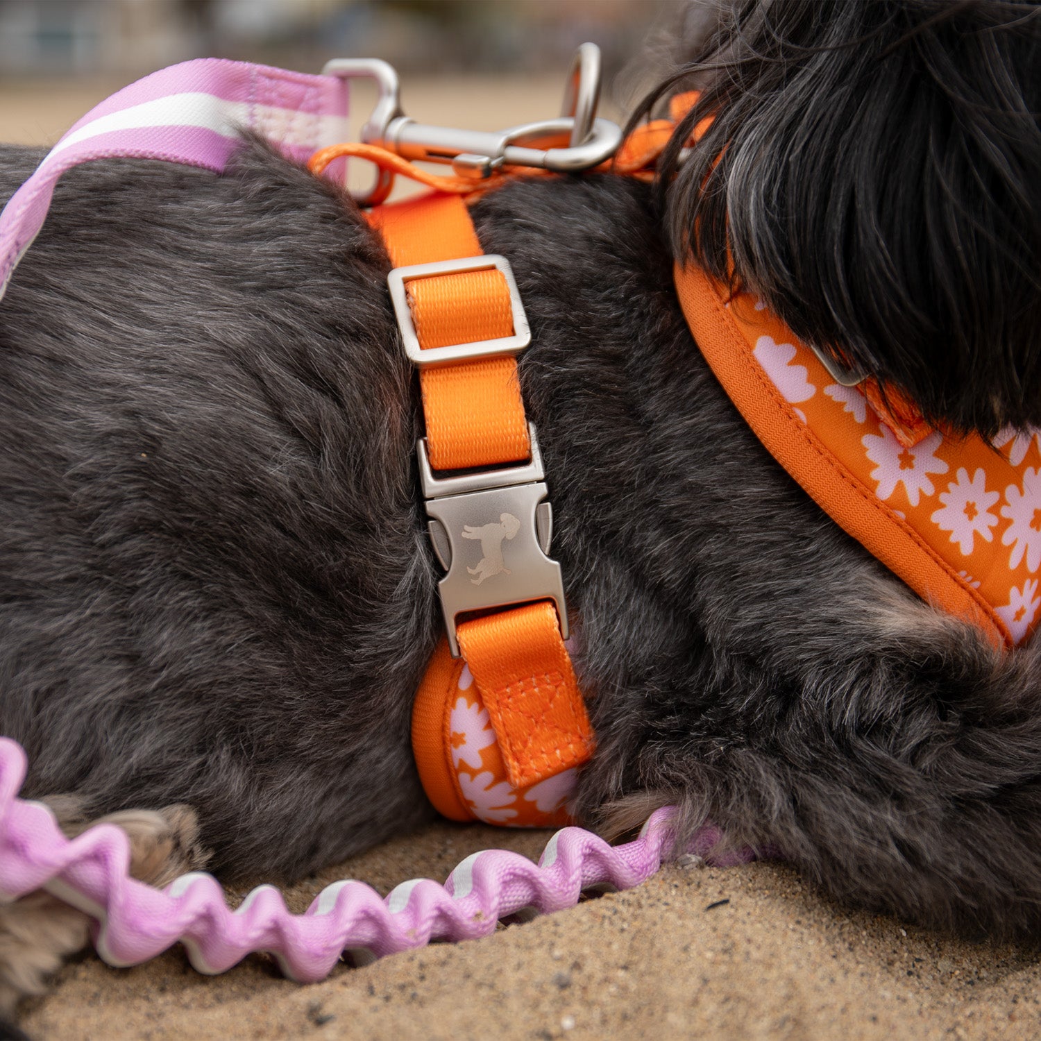 Florence Crossbody Leash