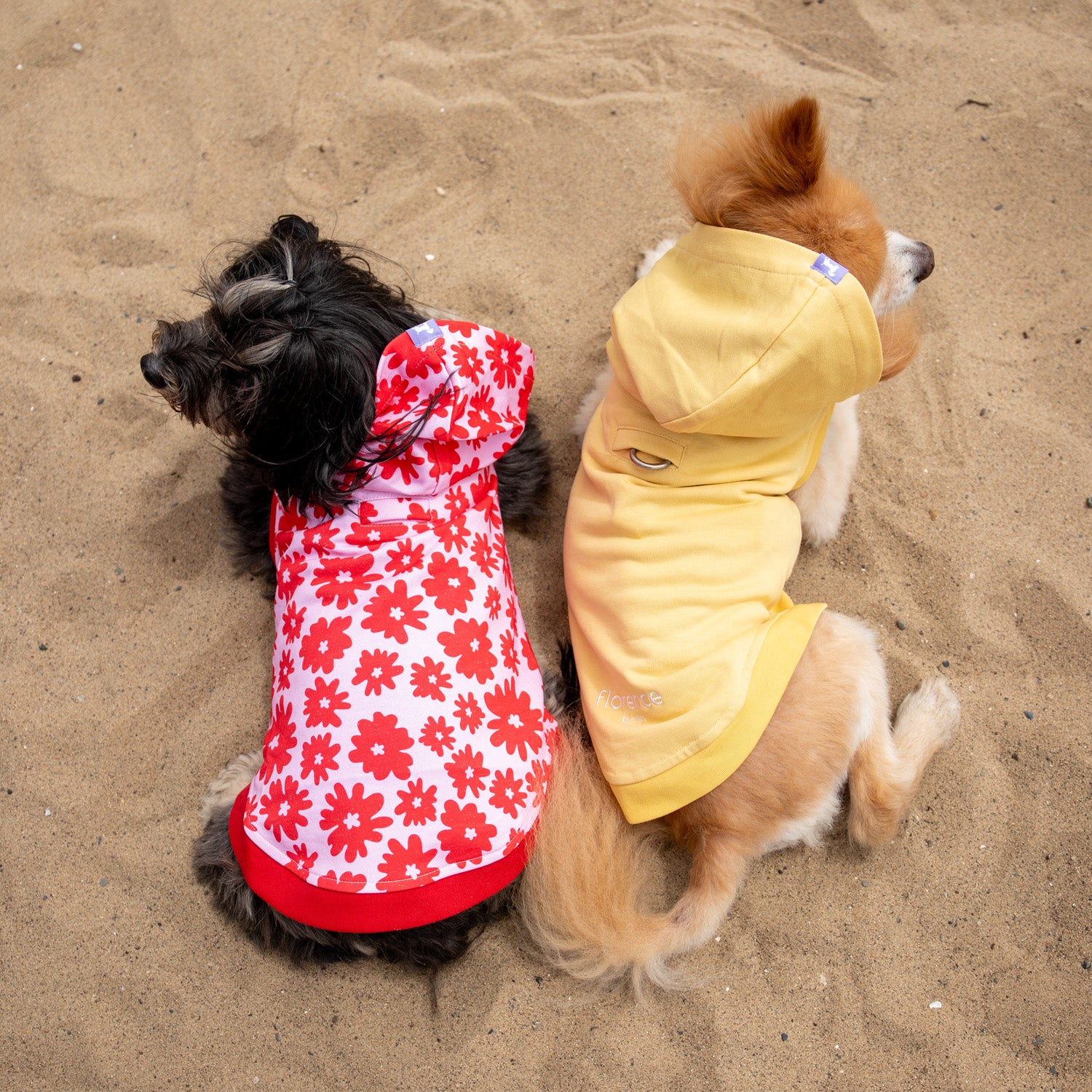 Florence Button-up Hoodie