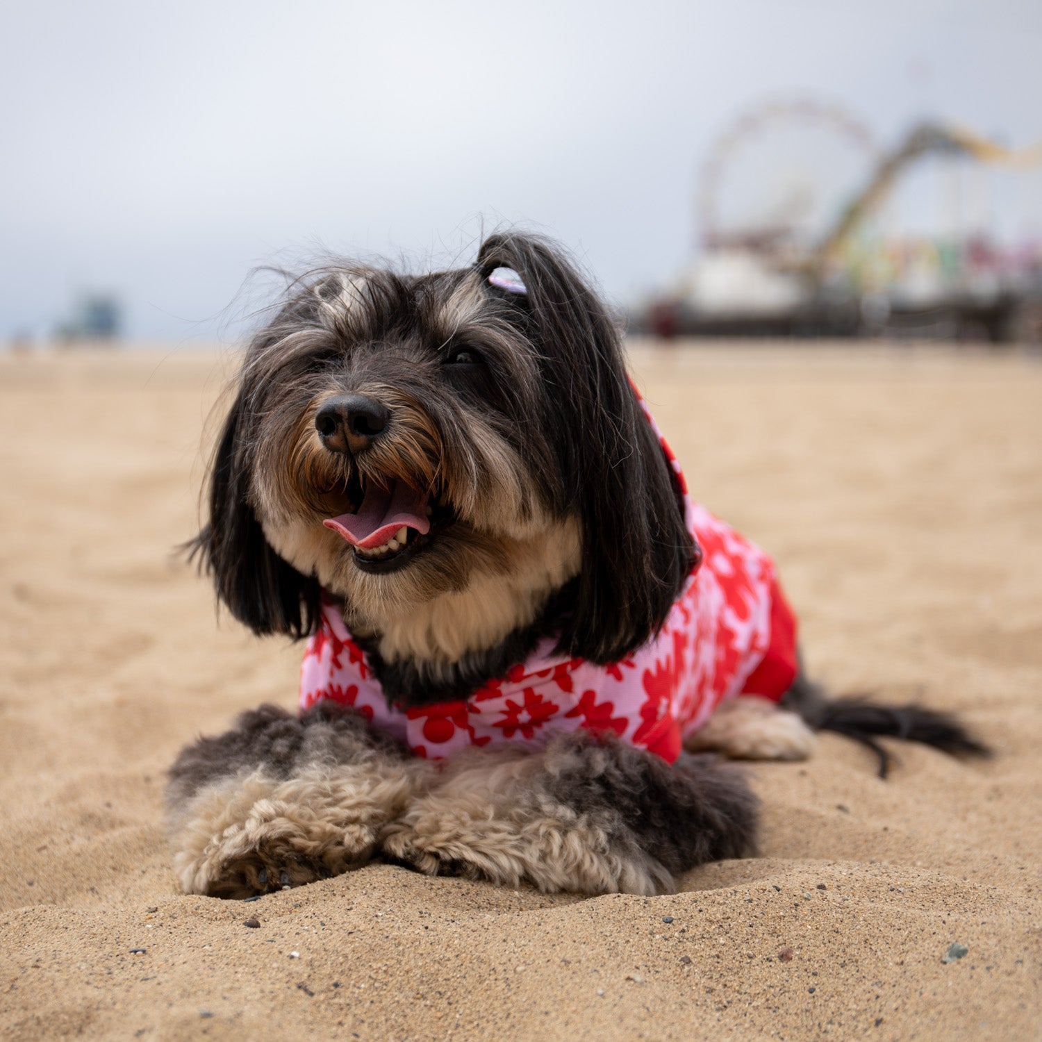 Florence Button-up Hoodie