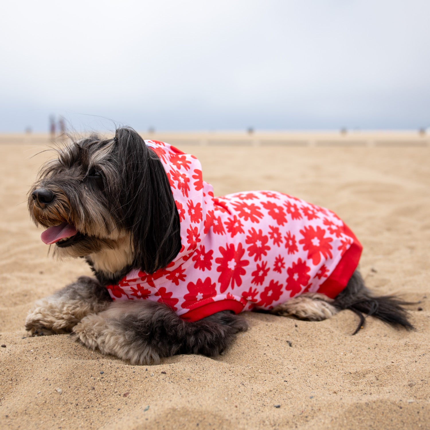 Florence Button-up Hoodie