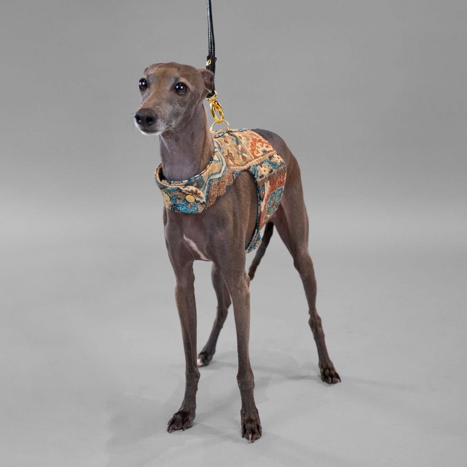 Boho Woven Harness