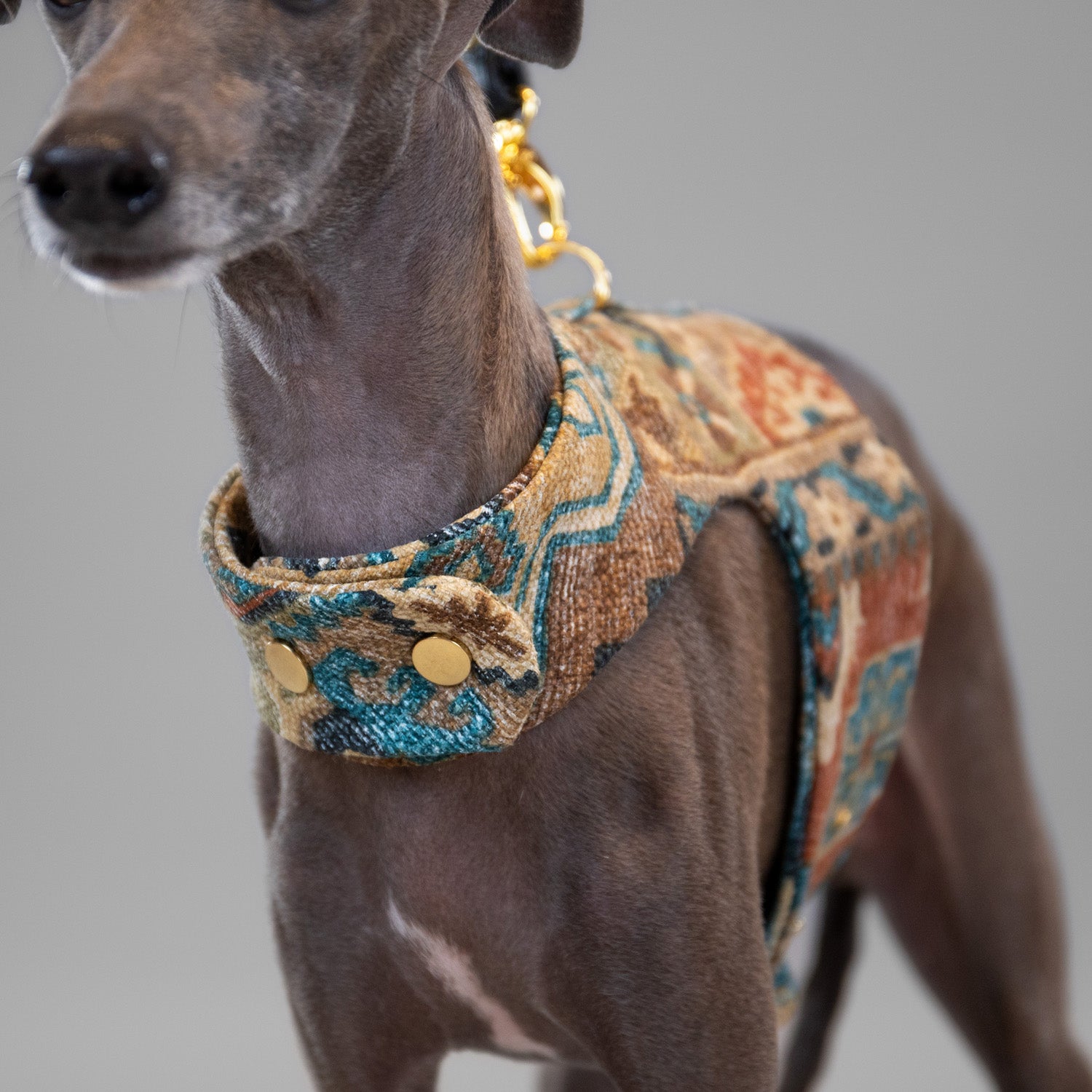 Boho Woven Harness