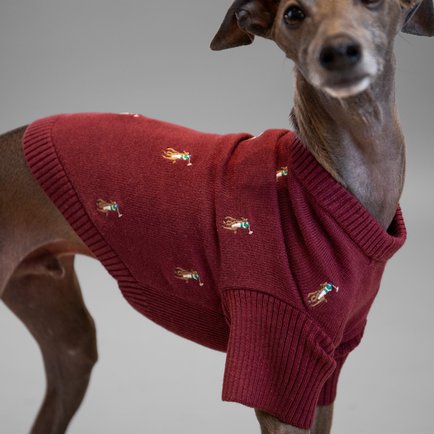 Ralph Lauren Logo Sweater