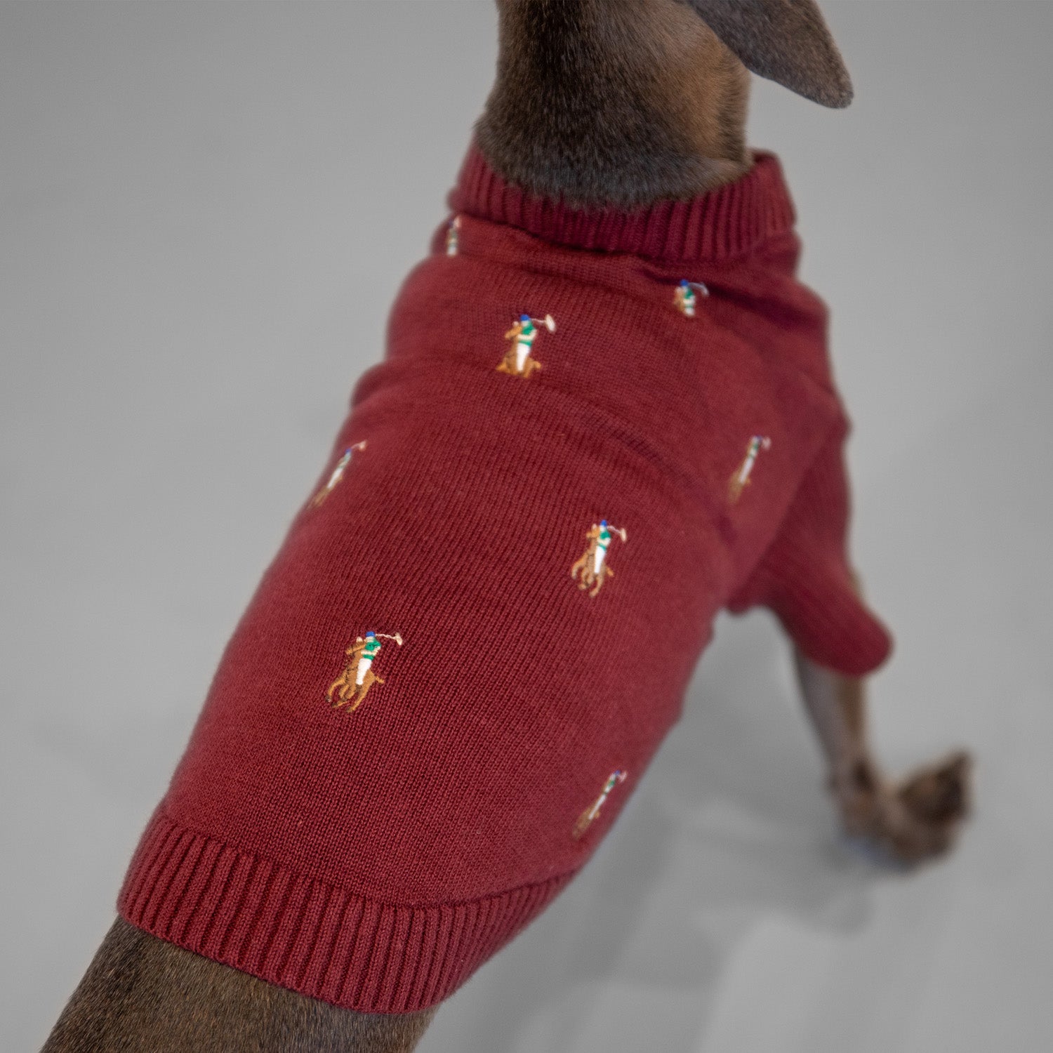 Ralph Lauren Logo Sweater