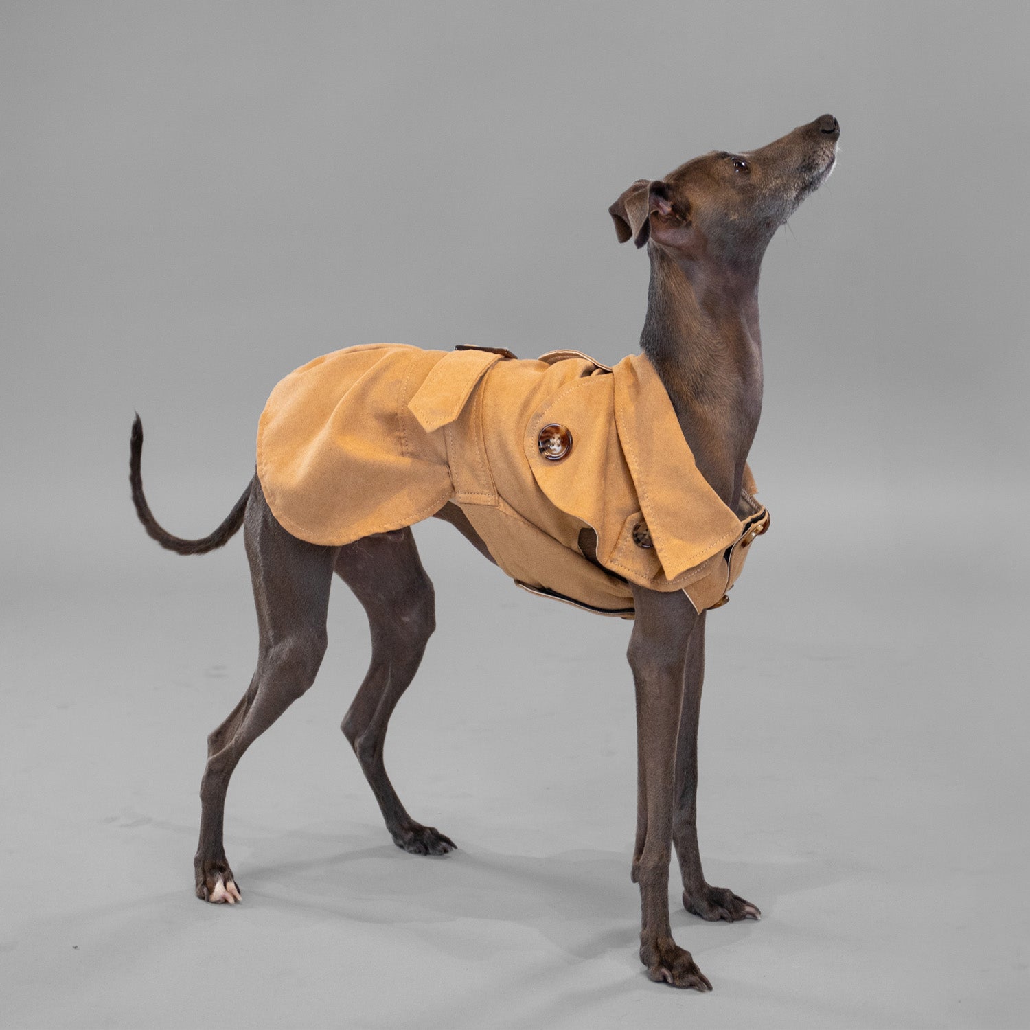 Sweetheart Suede Overcoat