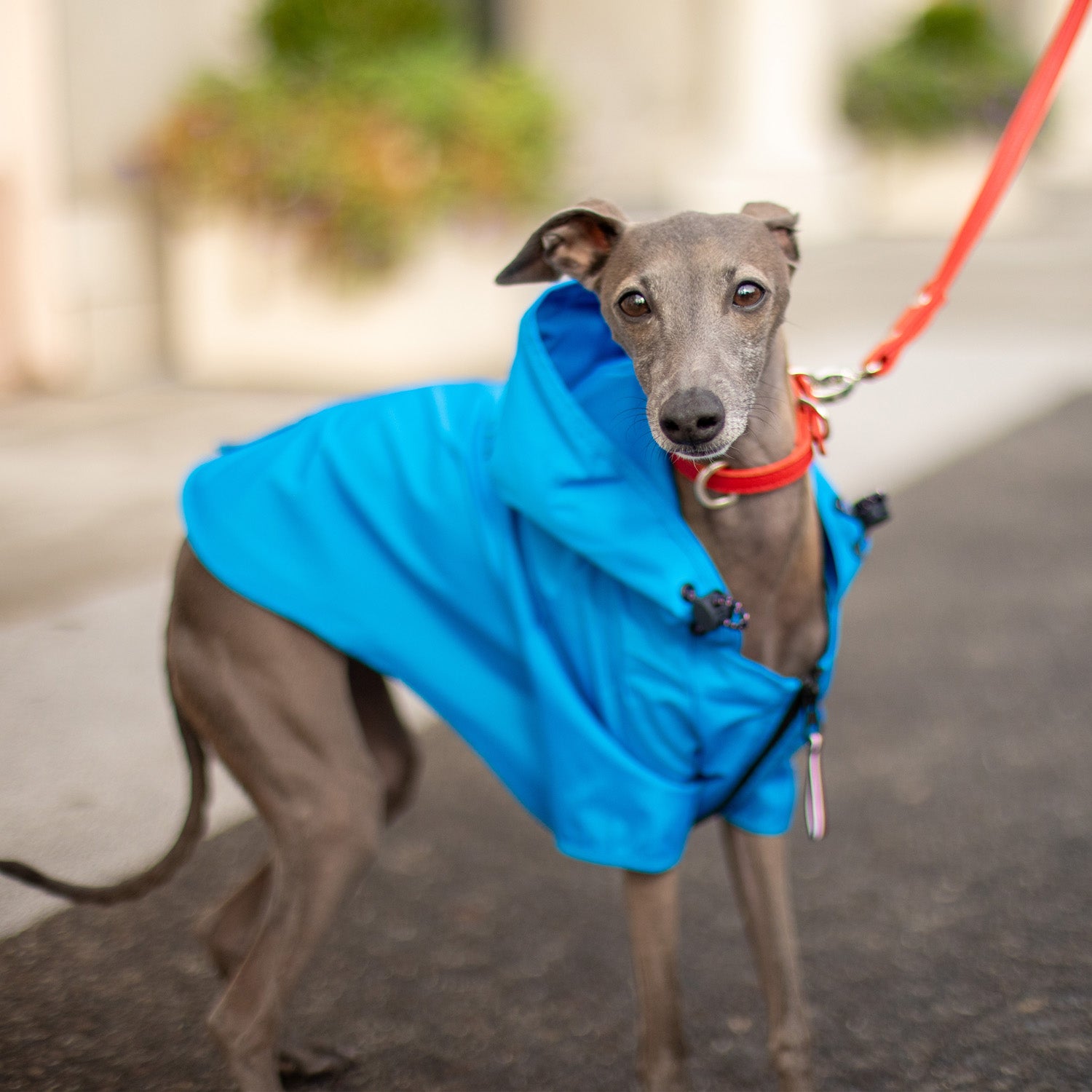 Tommy Hilfiger Raincoat