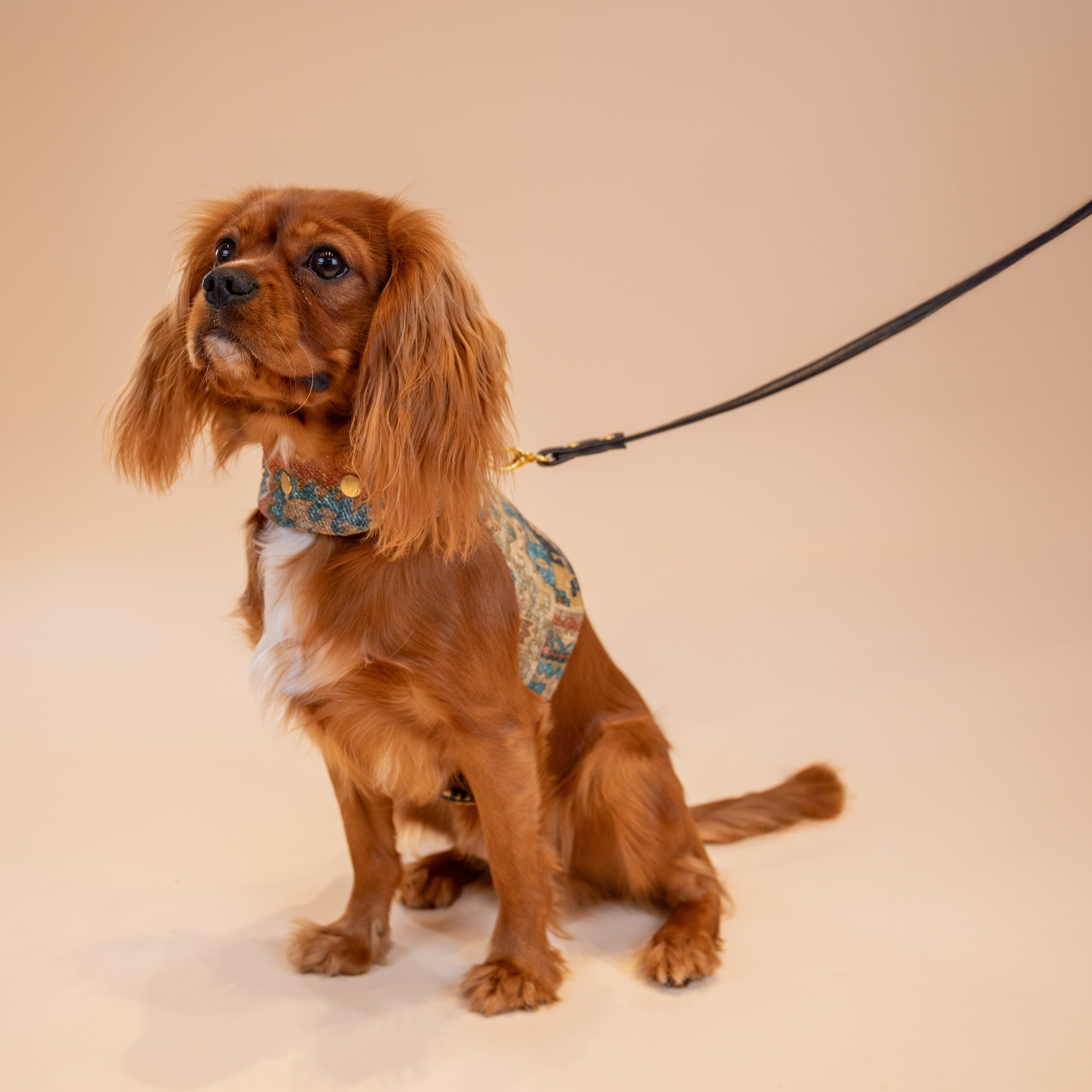 Boho Woven Harness