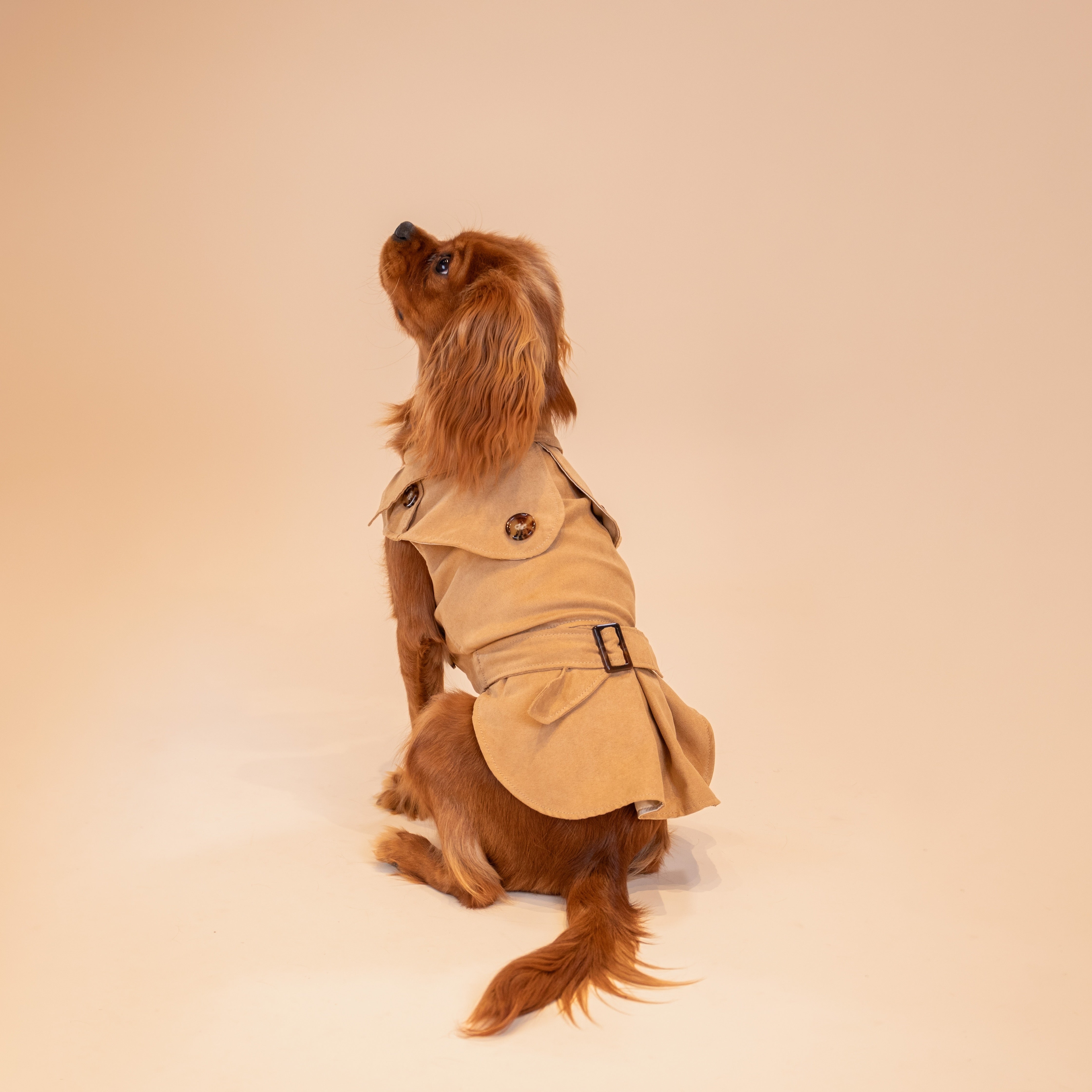 Sweetheart Suede Overcoat