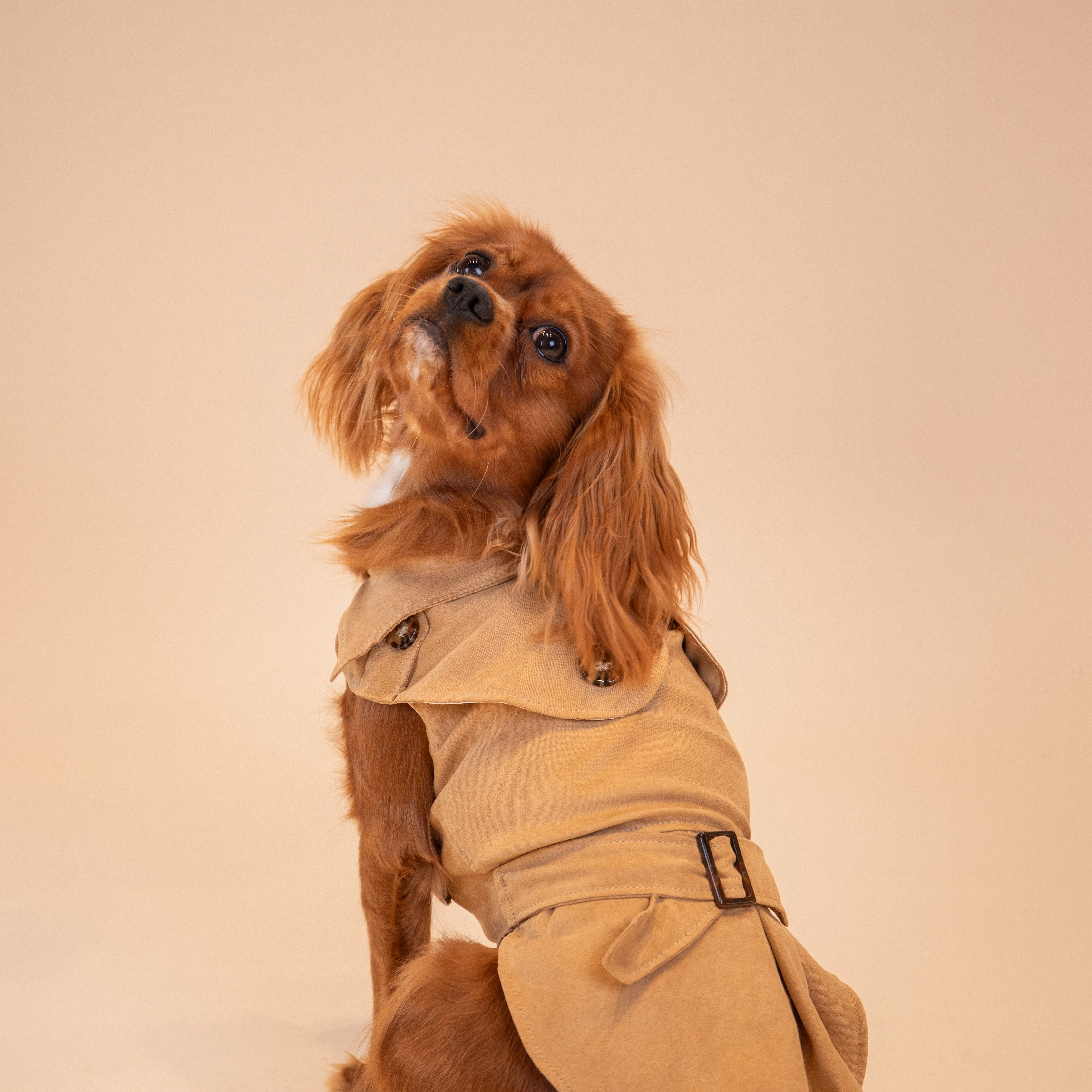 Sweetheart Suede Overcoat