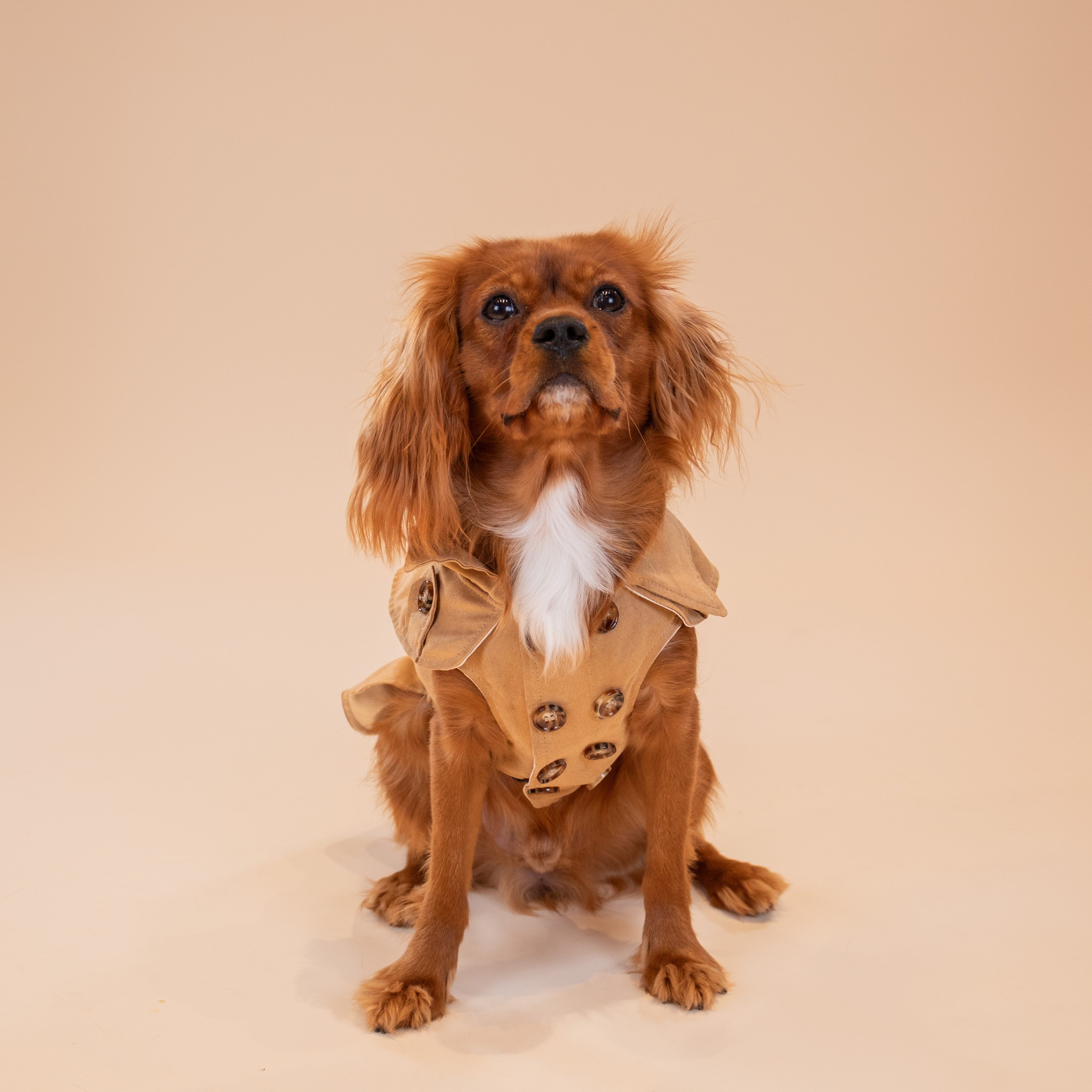 Sweetheart Suede Overcoat