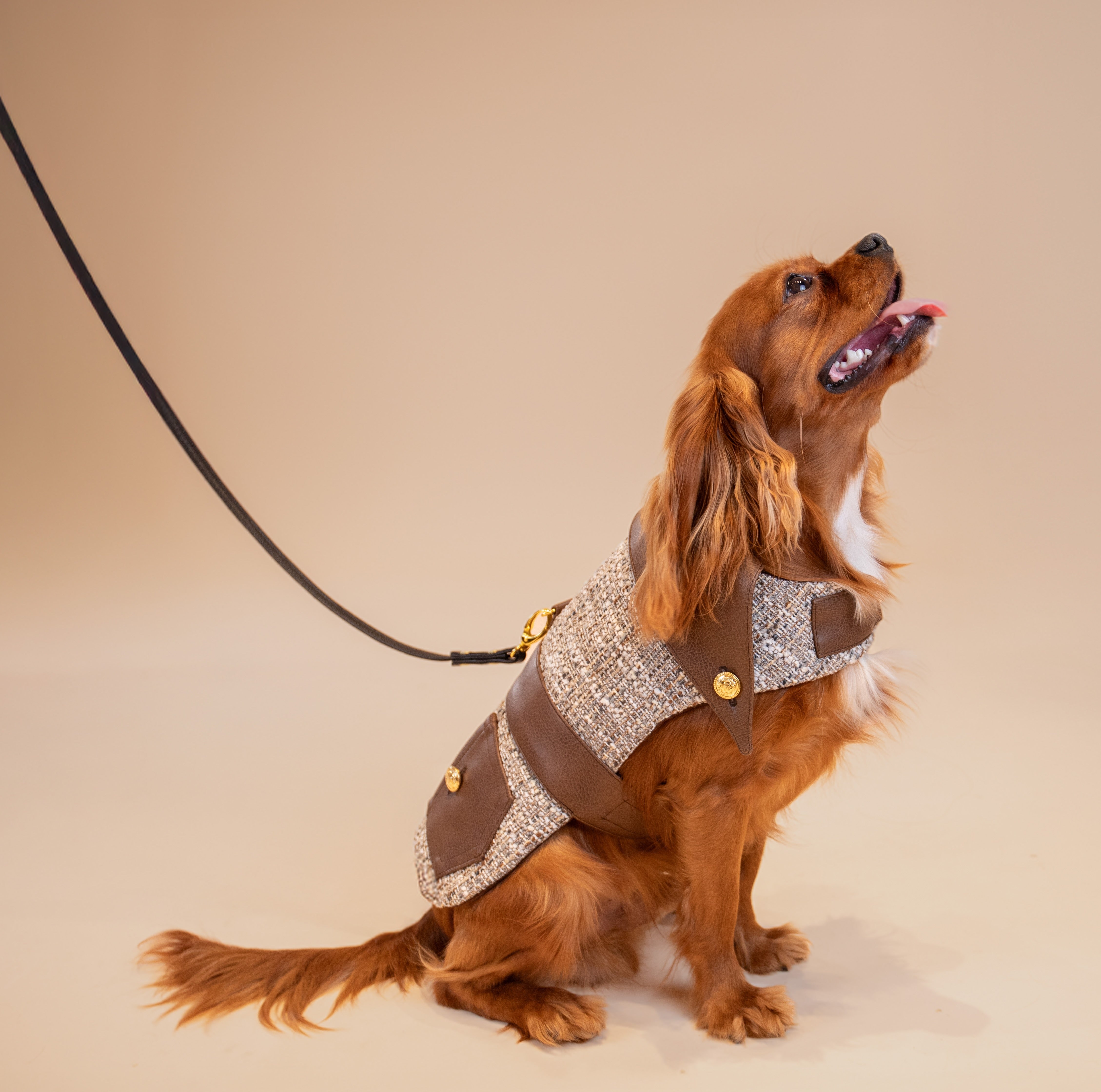 The Lucien Saddle Jacket