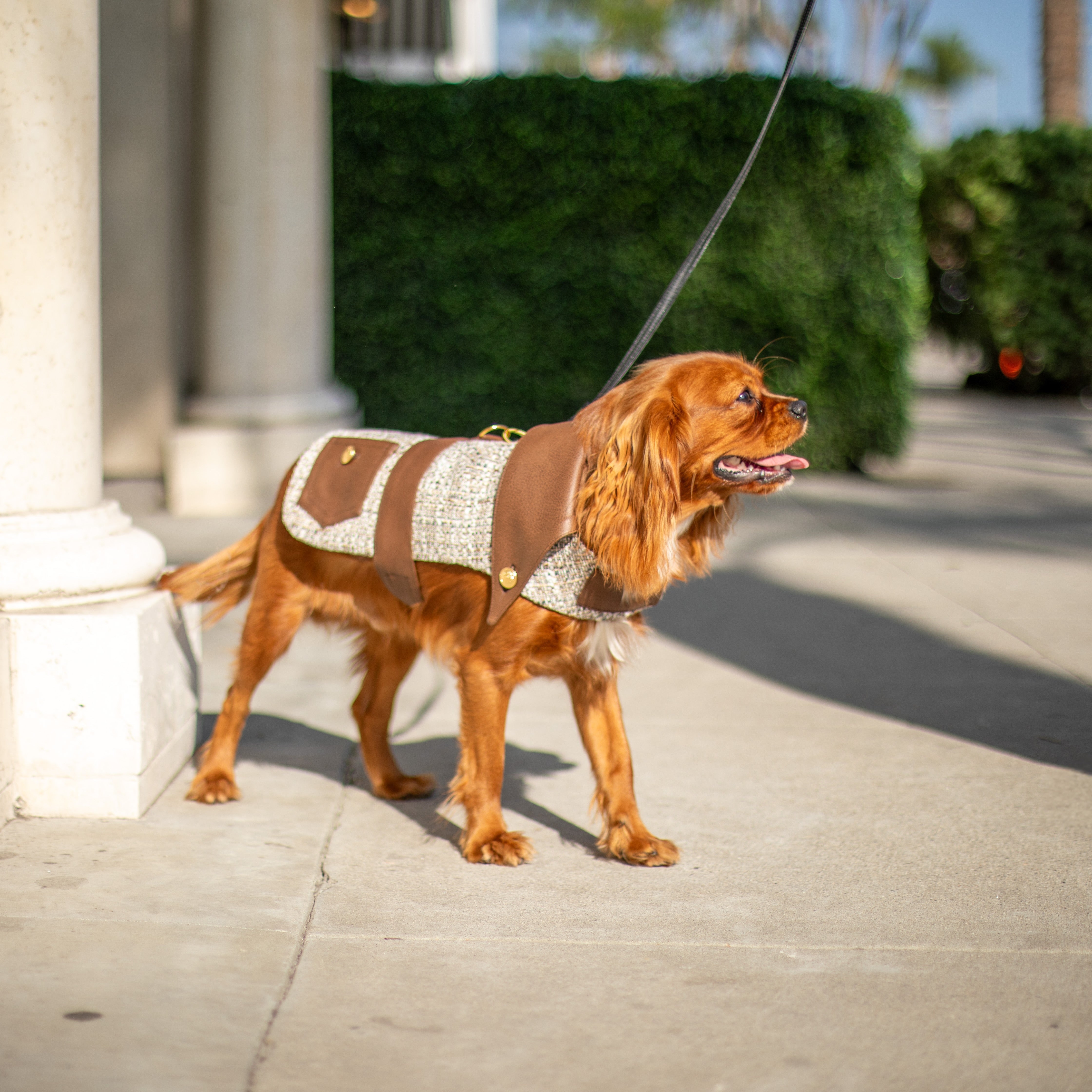 The Lucien Saddle Jacket