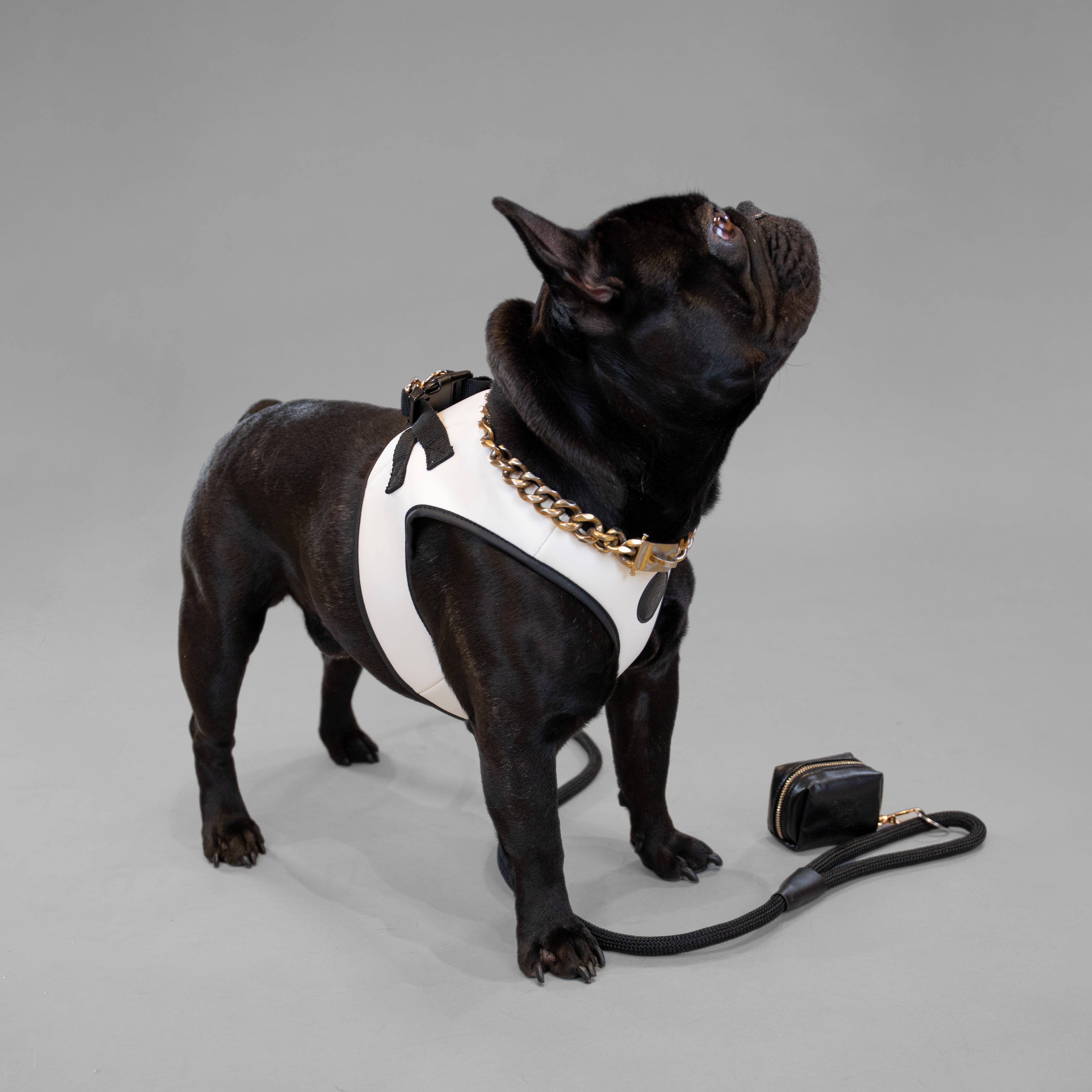 Doggie Republic Classic Harness