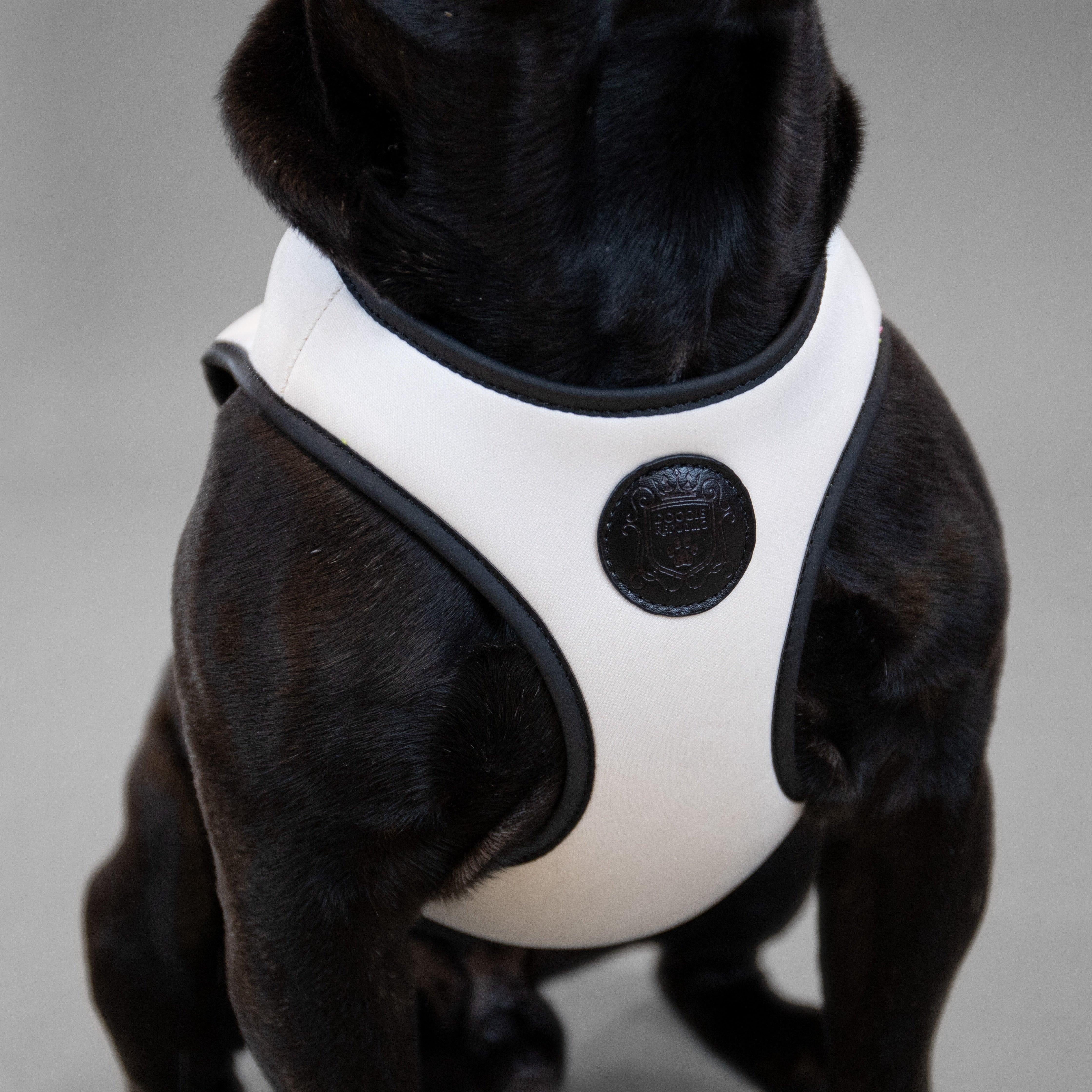 Doggie Republic Classic Harness