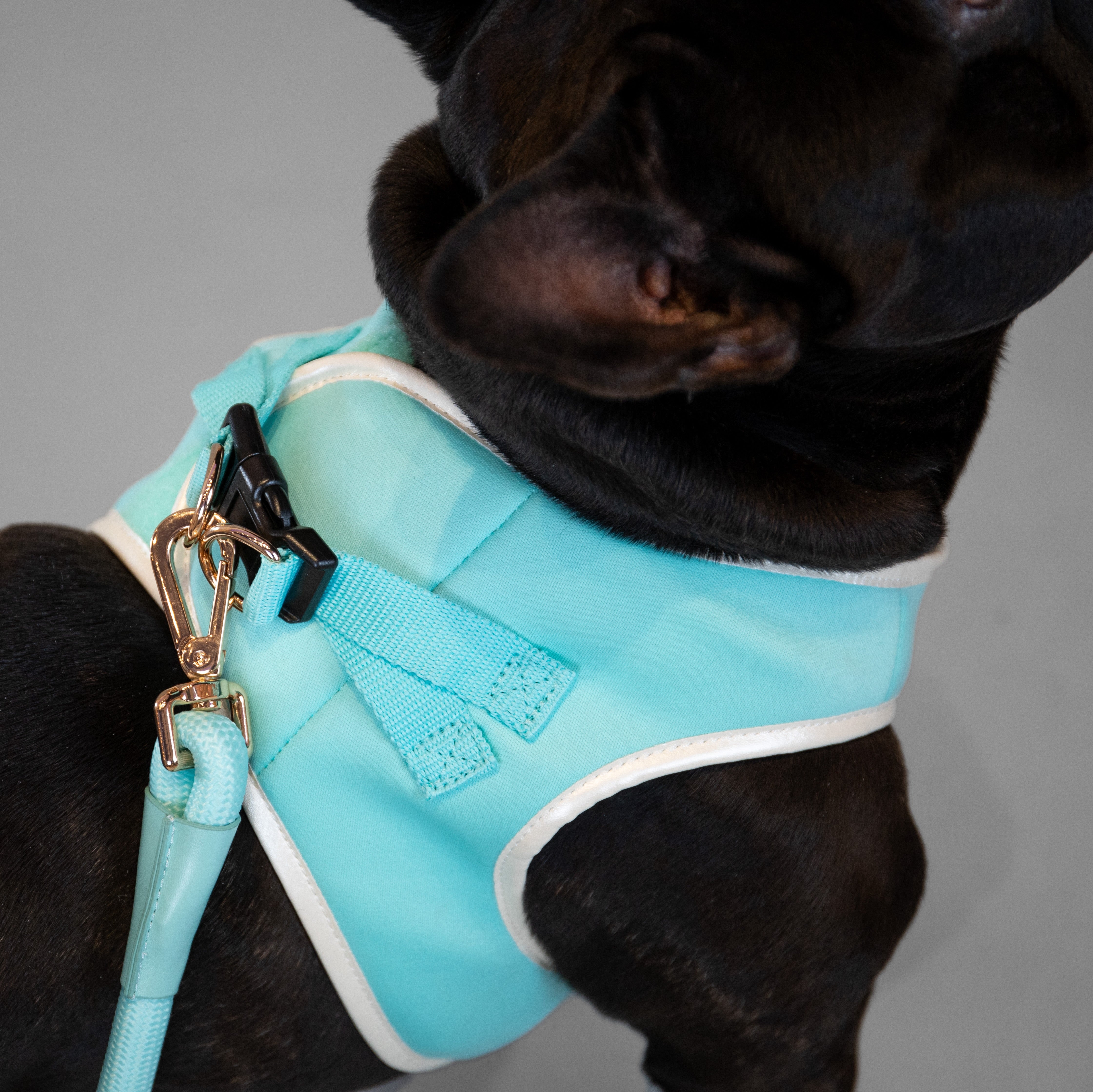 Doggie Republic Classic Harness