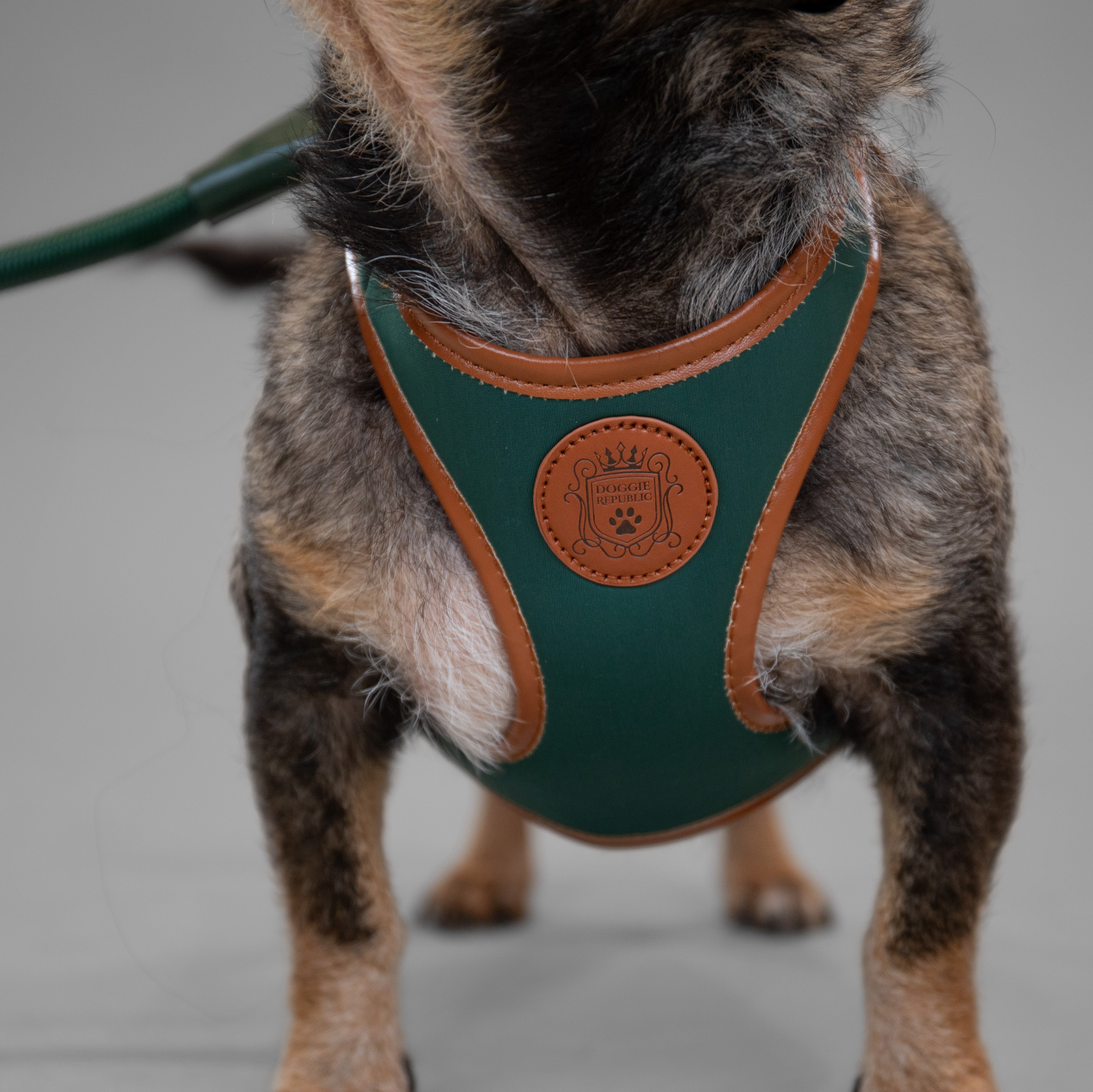 Doggie Republic Classic Harness
