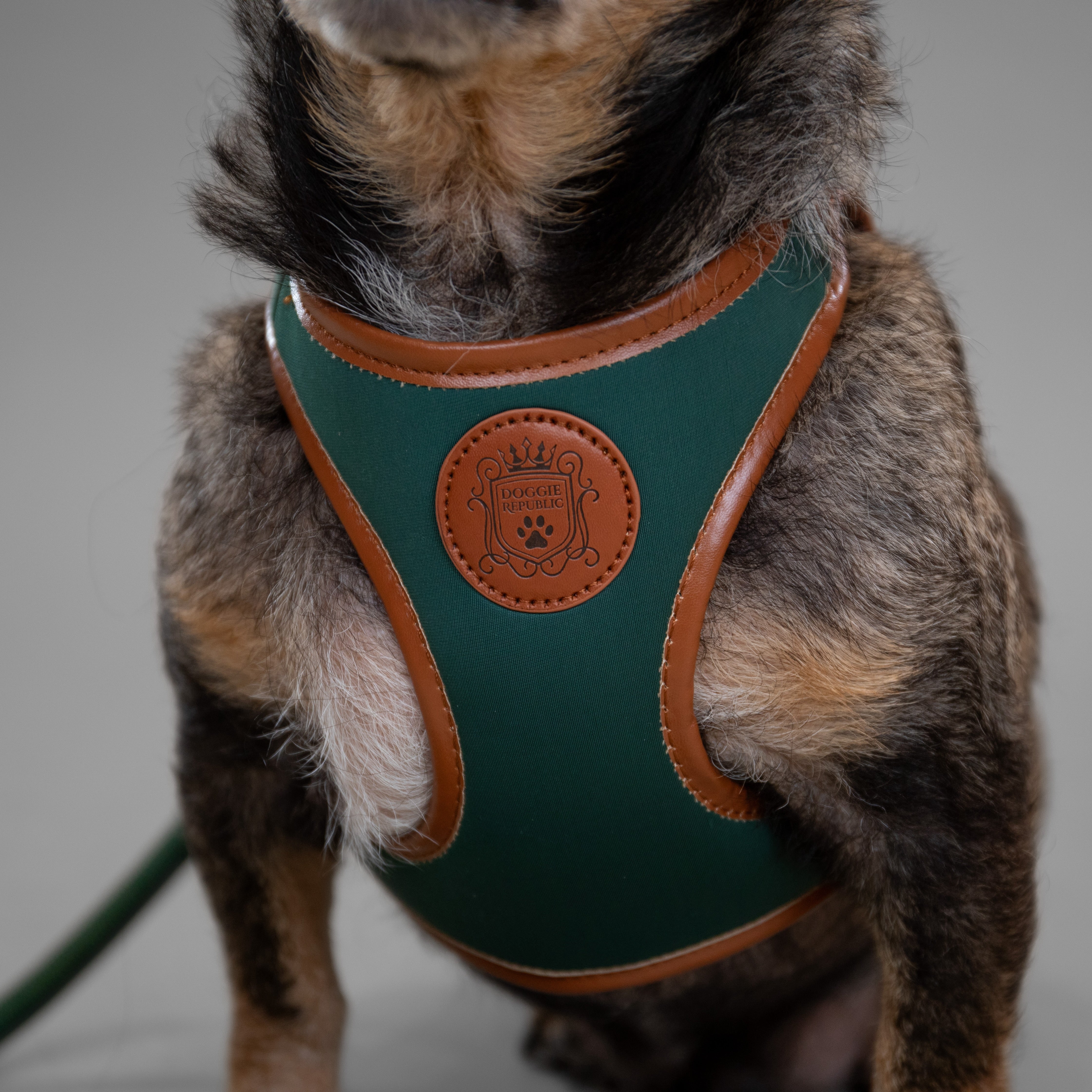 Doggie Republic Classic Harness